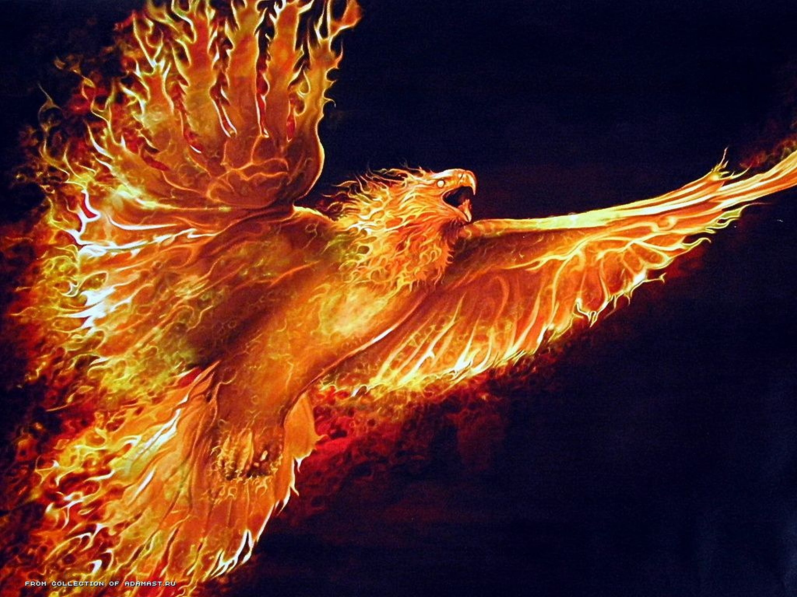 Phoenix illustration, fire, birds, animal, no people, animal wildlife