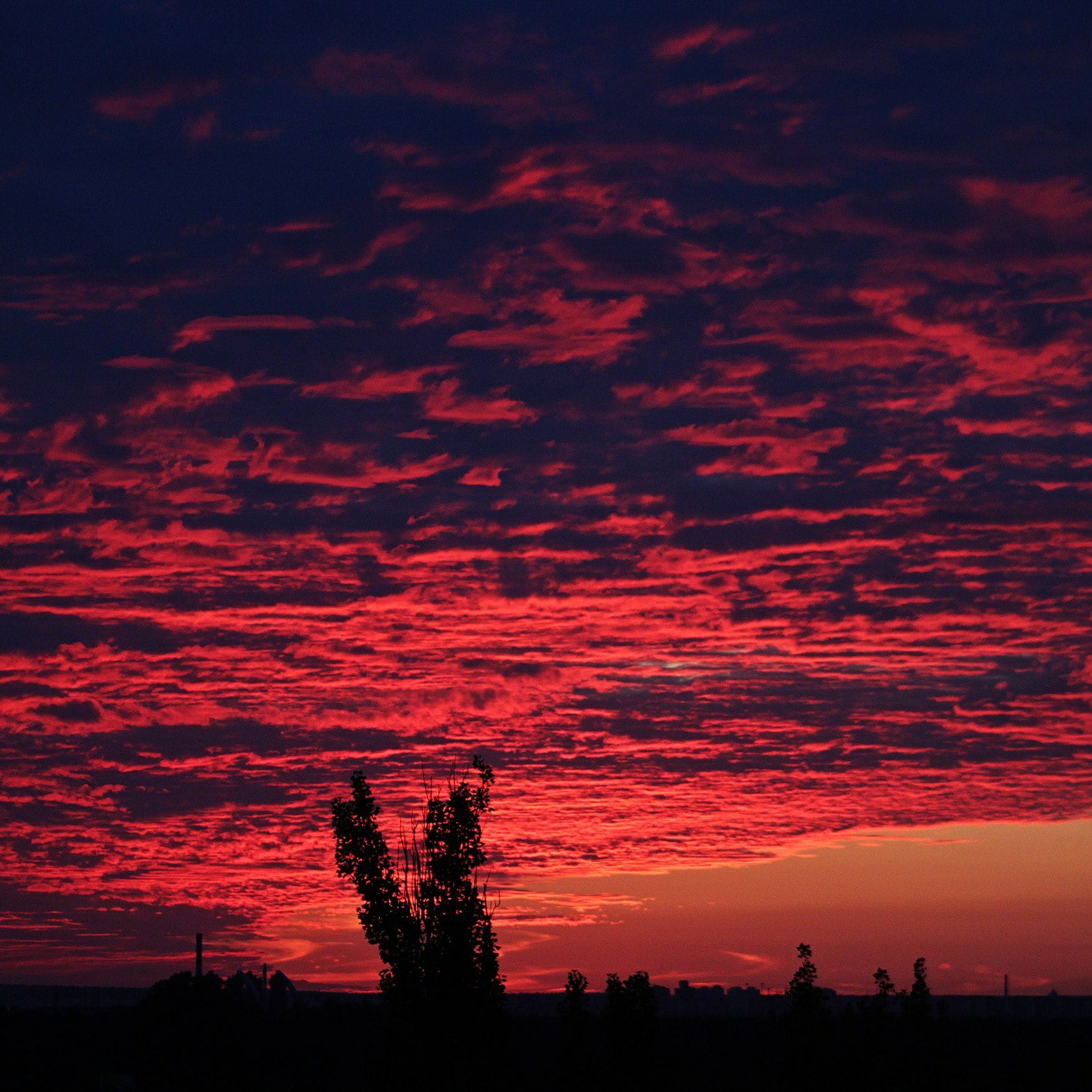 clouds, red sky, sunrise, silhouette, horizon, sunset, cloud - sky
