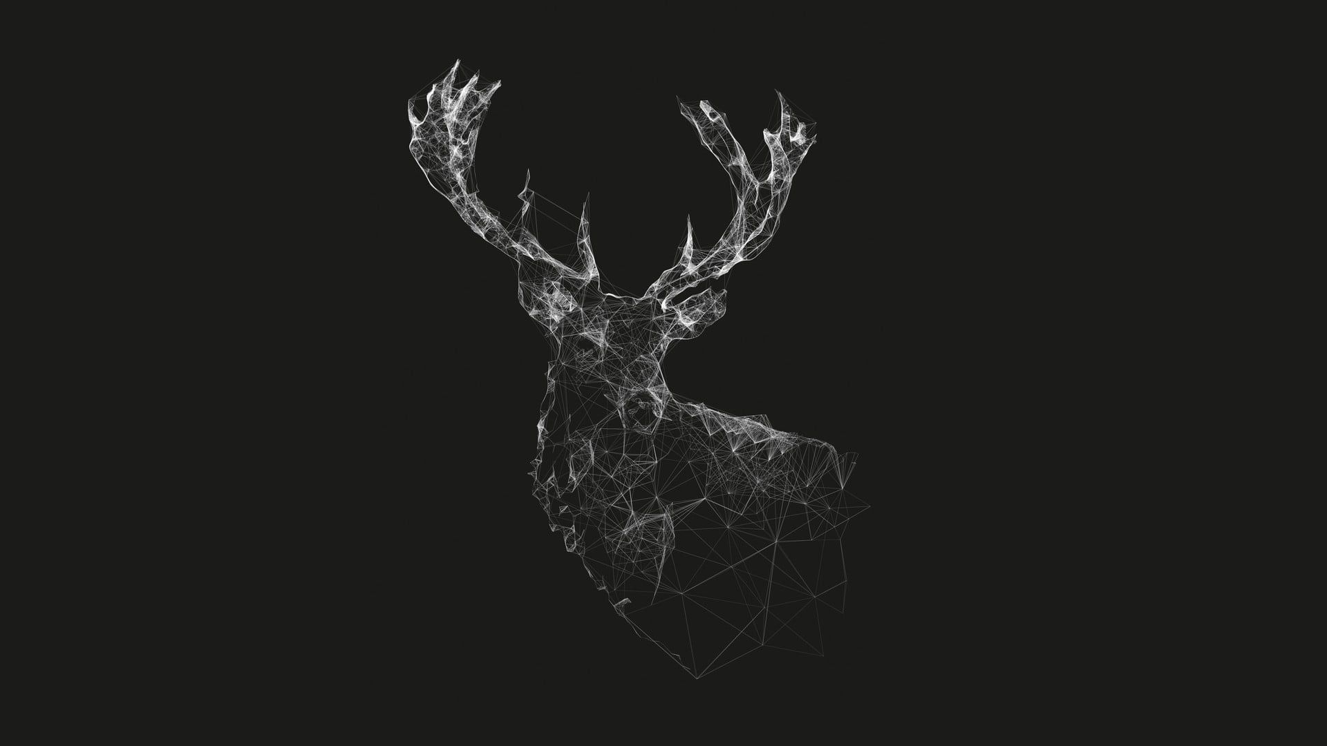 white deer sketch, grey deer digital wallpaper, geometry, wireframe