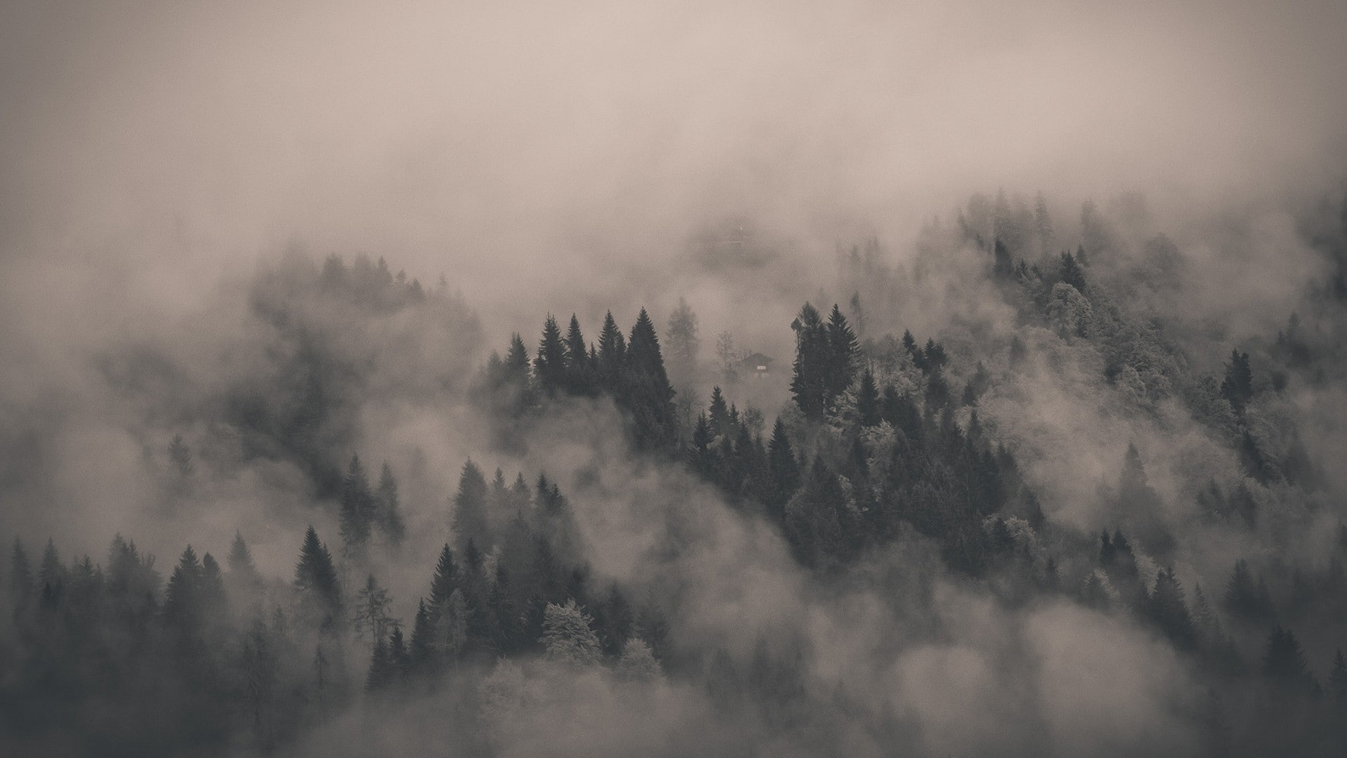 Alone, clouds, forest