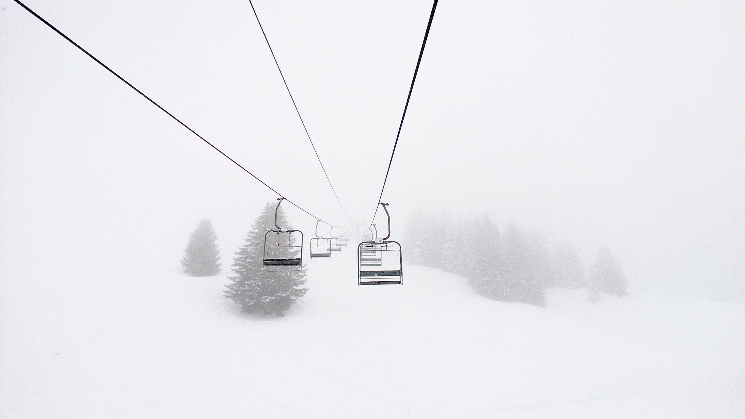 snow, ski lift, ski lifts, pine trees