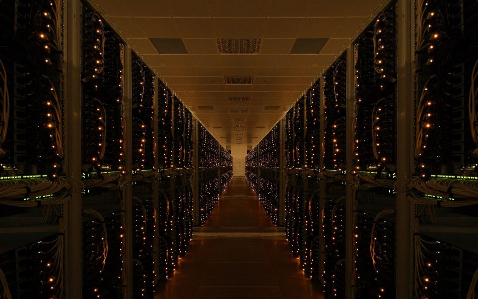 computer, Server