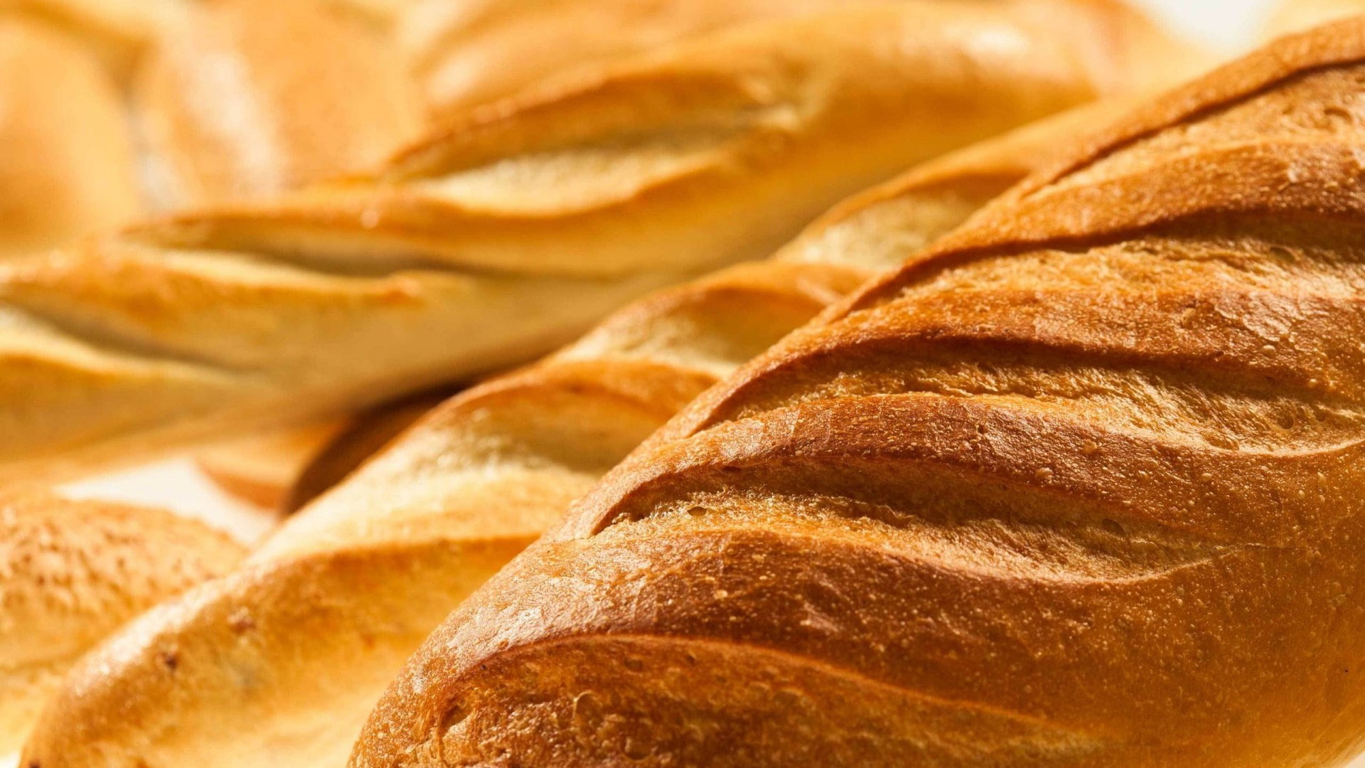 bread