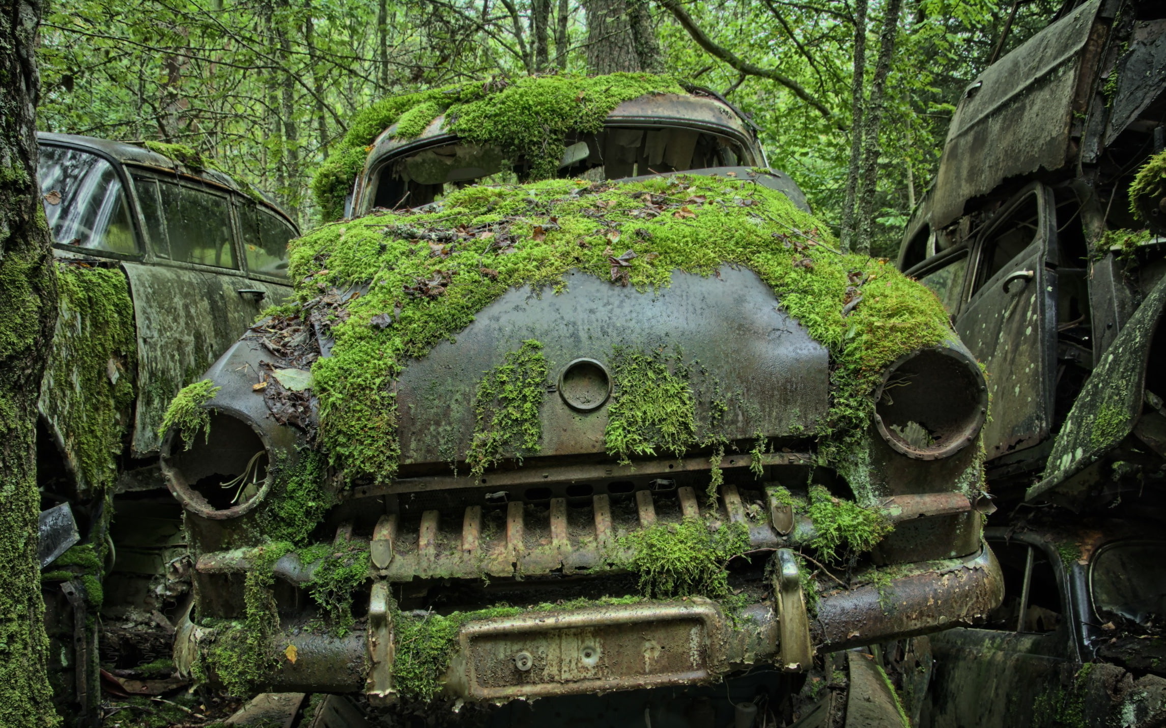 machine, moss, scrap