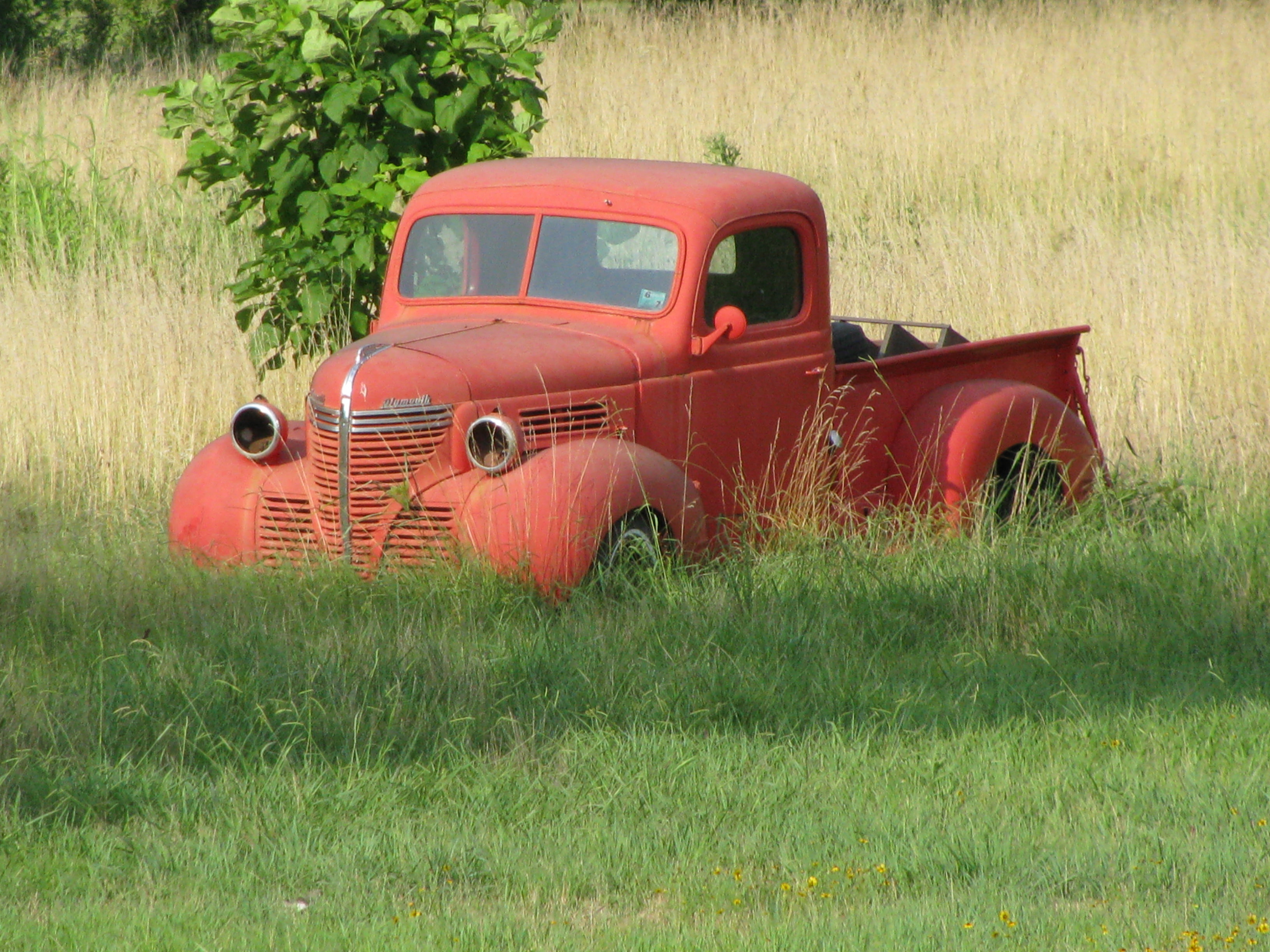 rusty