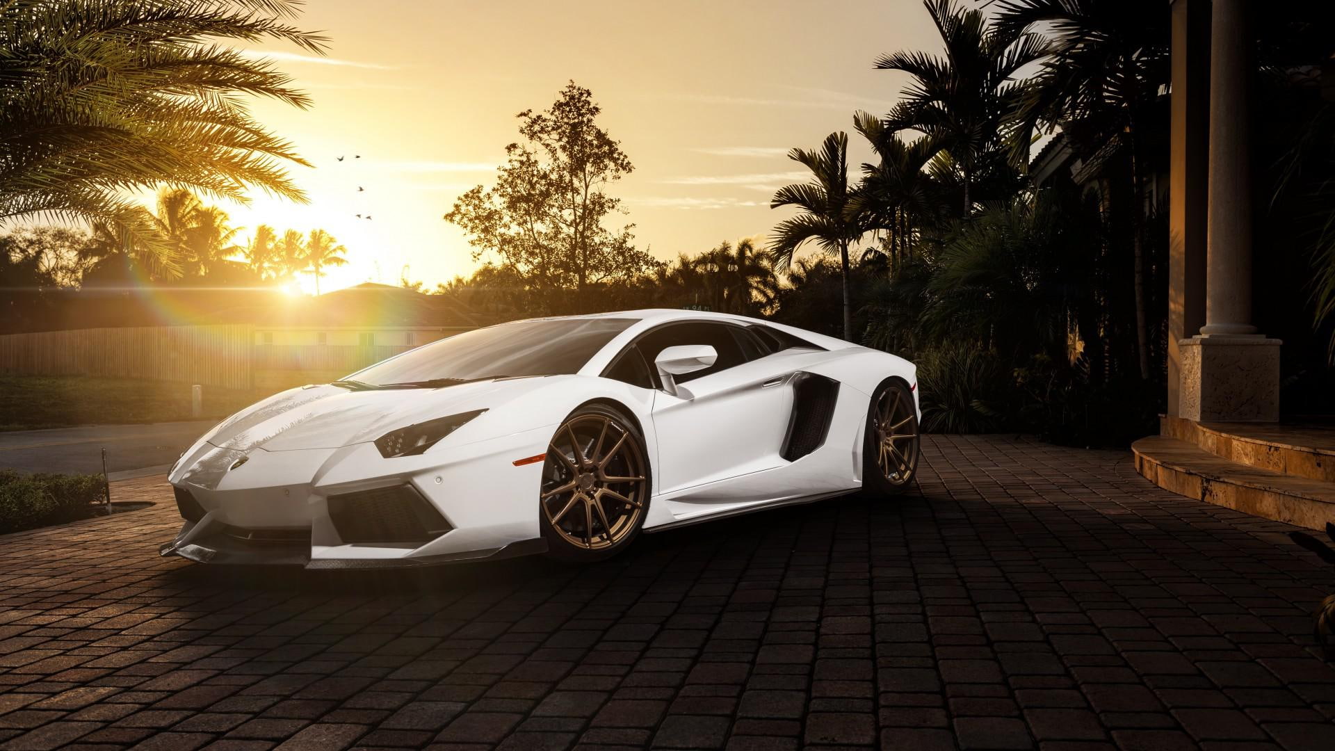Lamborghini, white sports car, car pictures, ultra HD