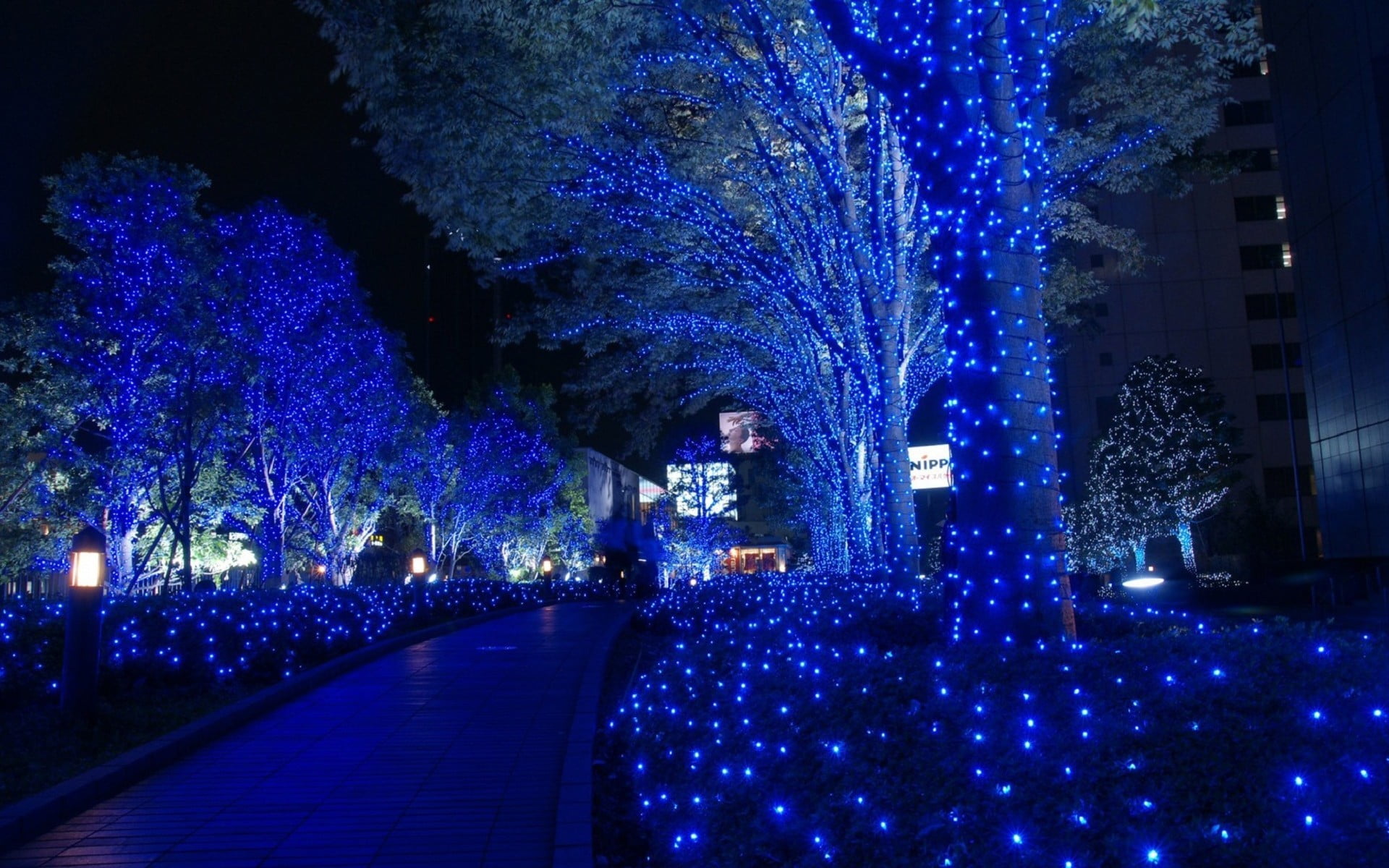 blue LED lights, night, cityscape, trees, illuminated, architecture