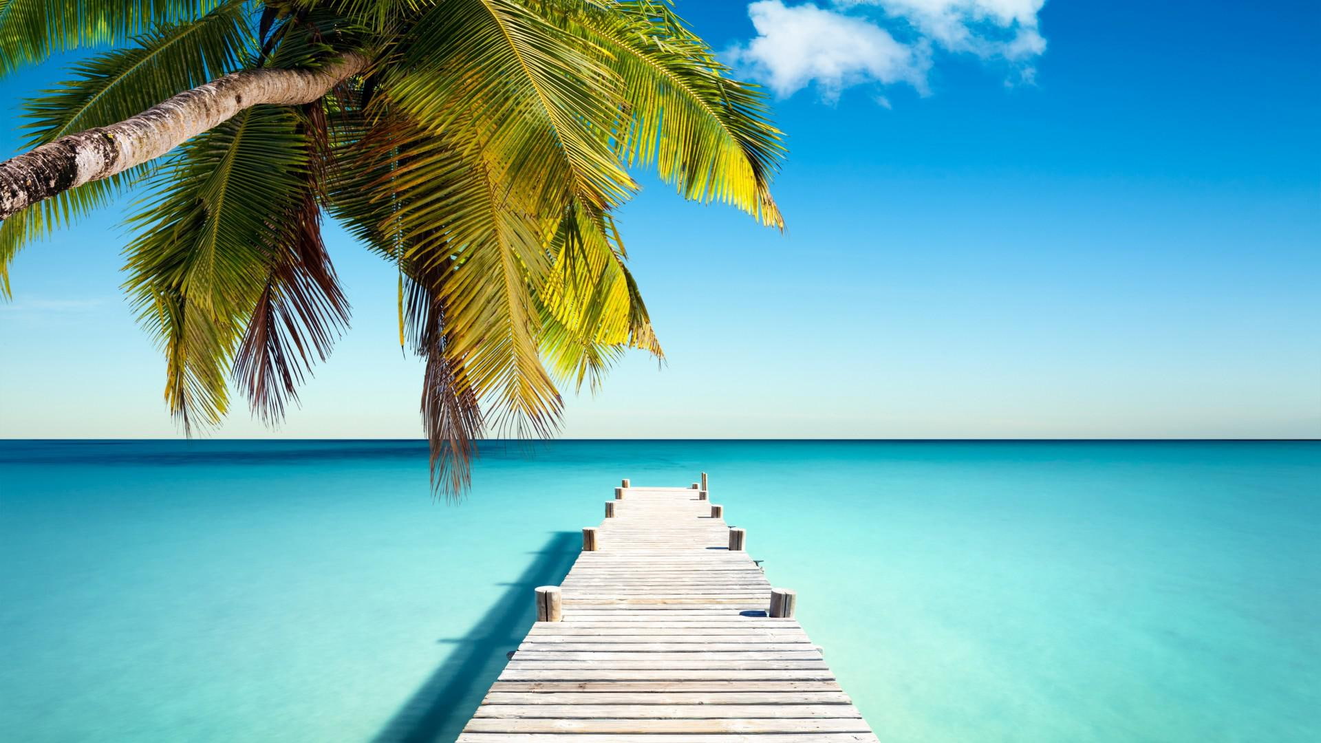 Tropical paradise, dock, shore, sea, blue, turquoise, ocean, palm