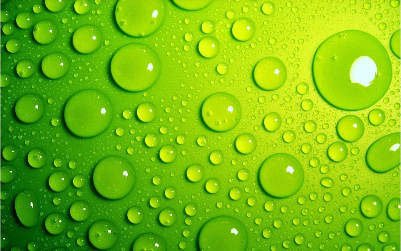 water drops, macro, green, wet, green color, close-up, backgrounds