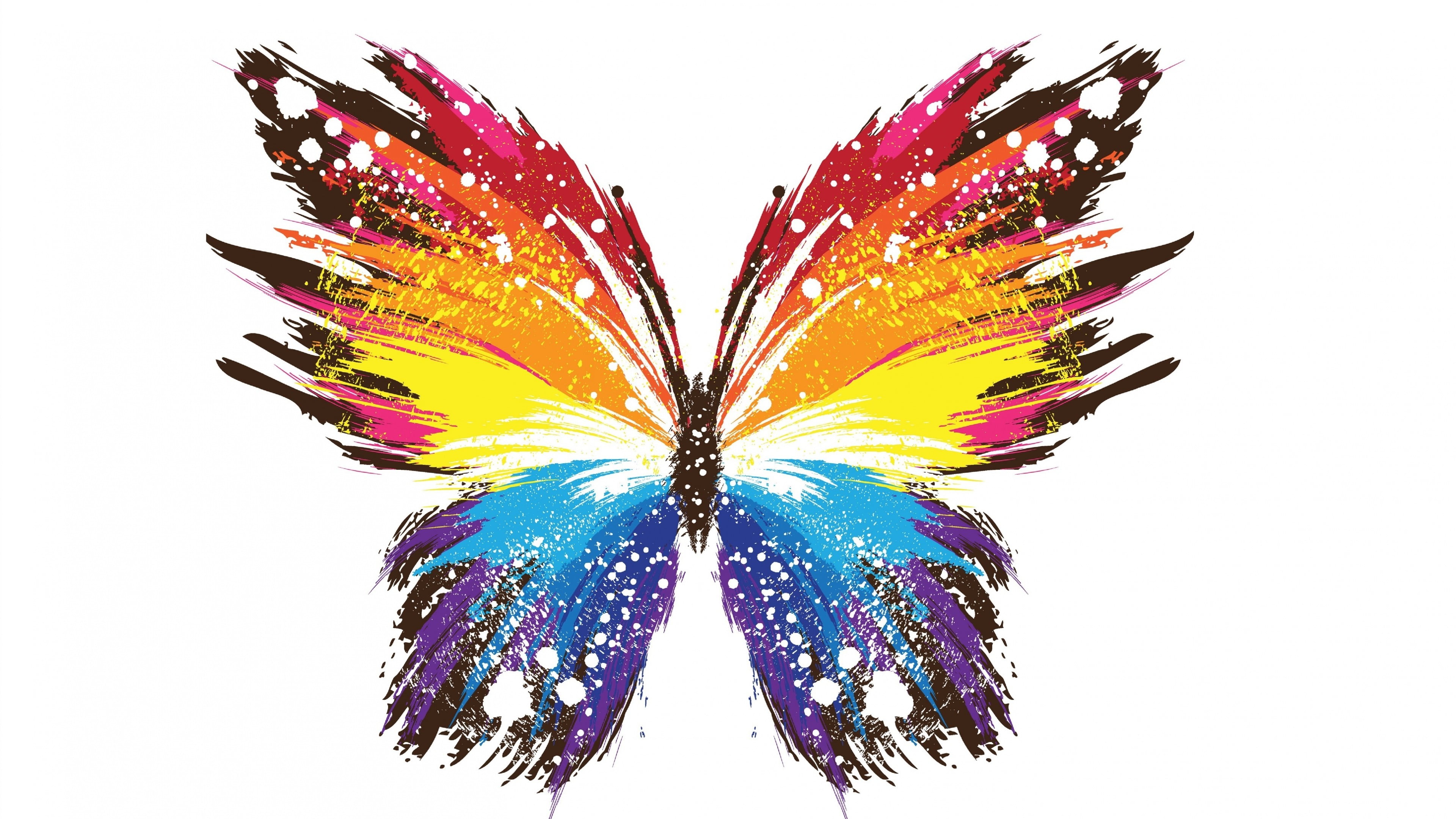 multicolored butterfly, colorful, artwork, paint splatter, white background