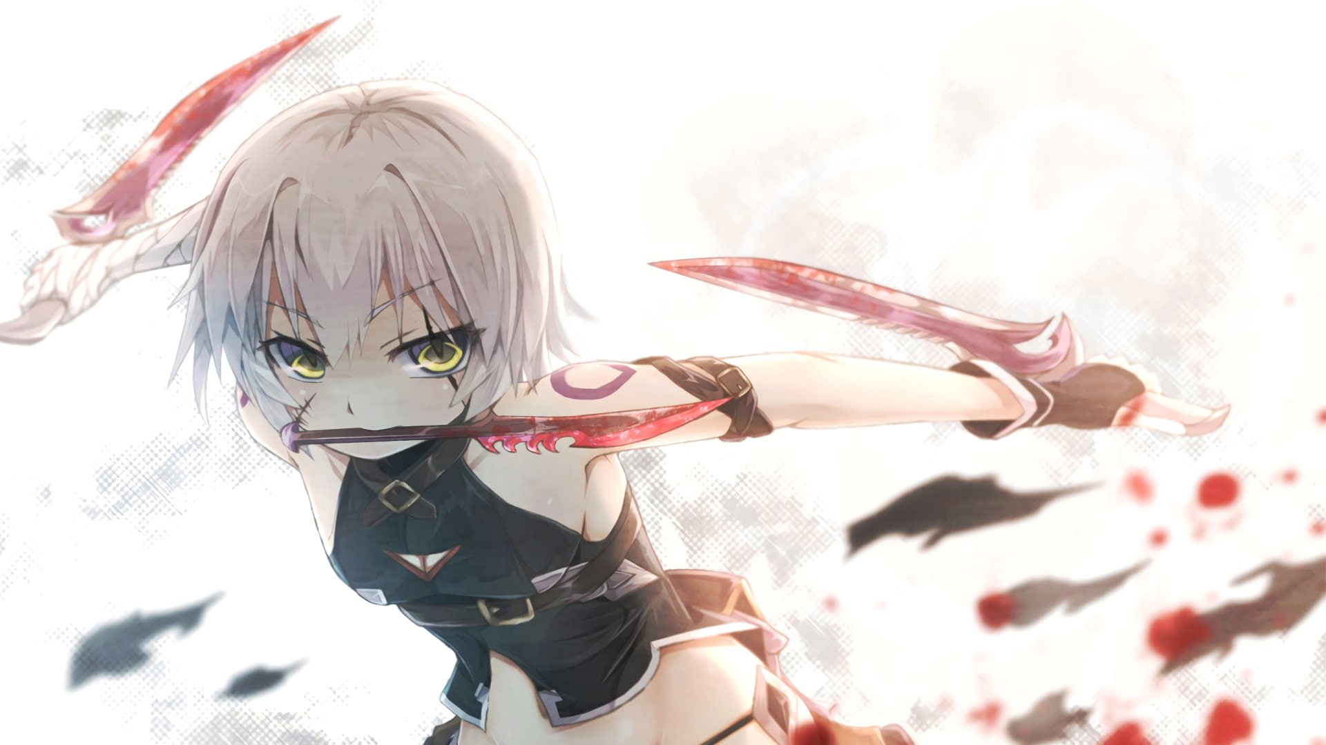 Fate Series, Fate/Grand Order, Assassin of Black (Fate/Apocrypha)