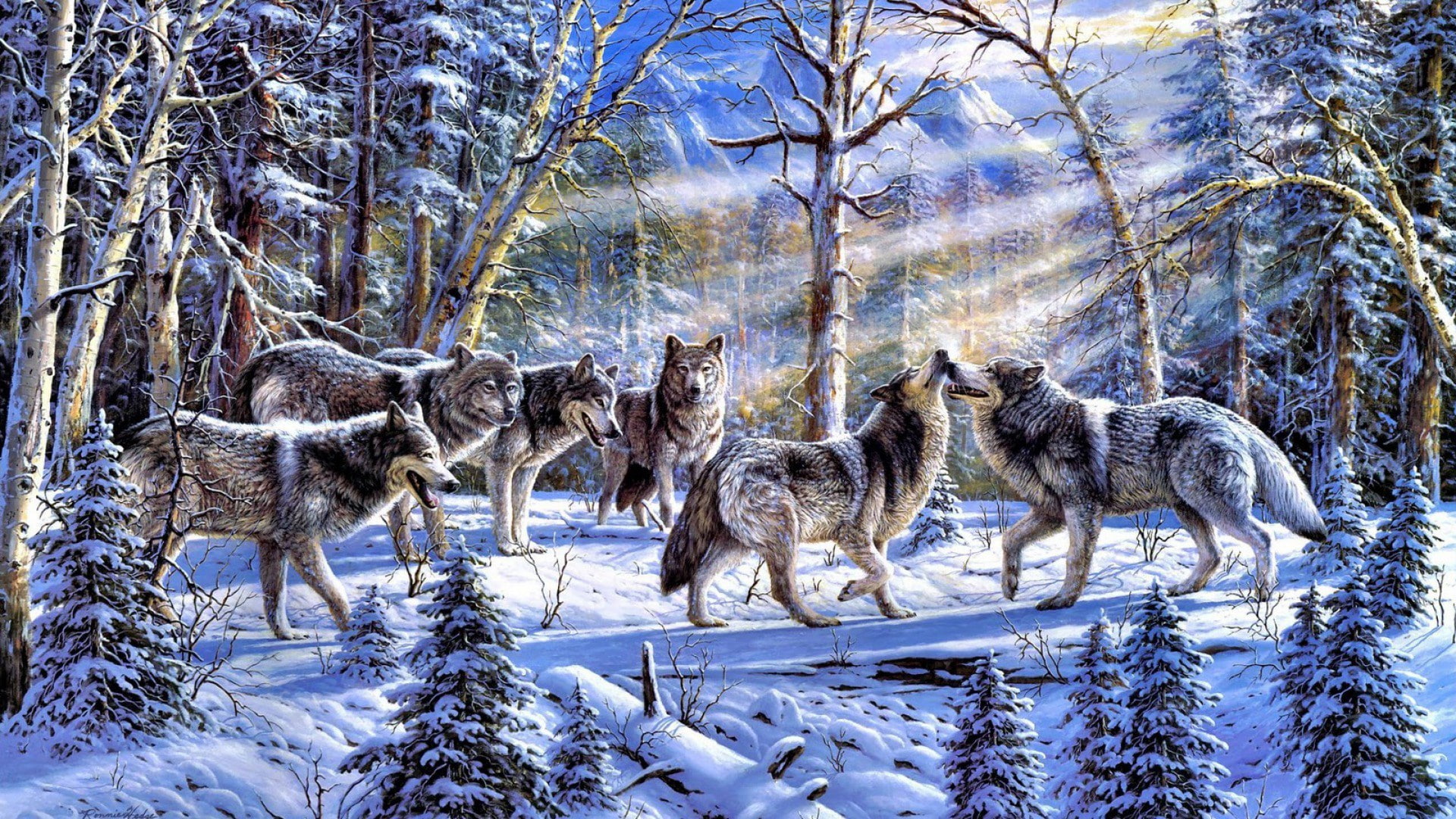 wolf