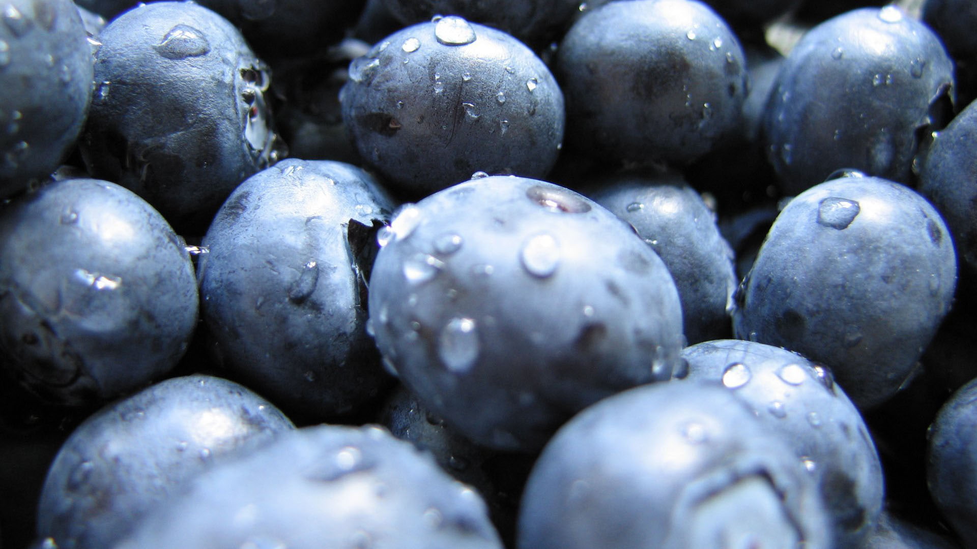 Blueberries Closeup HD