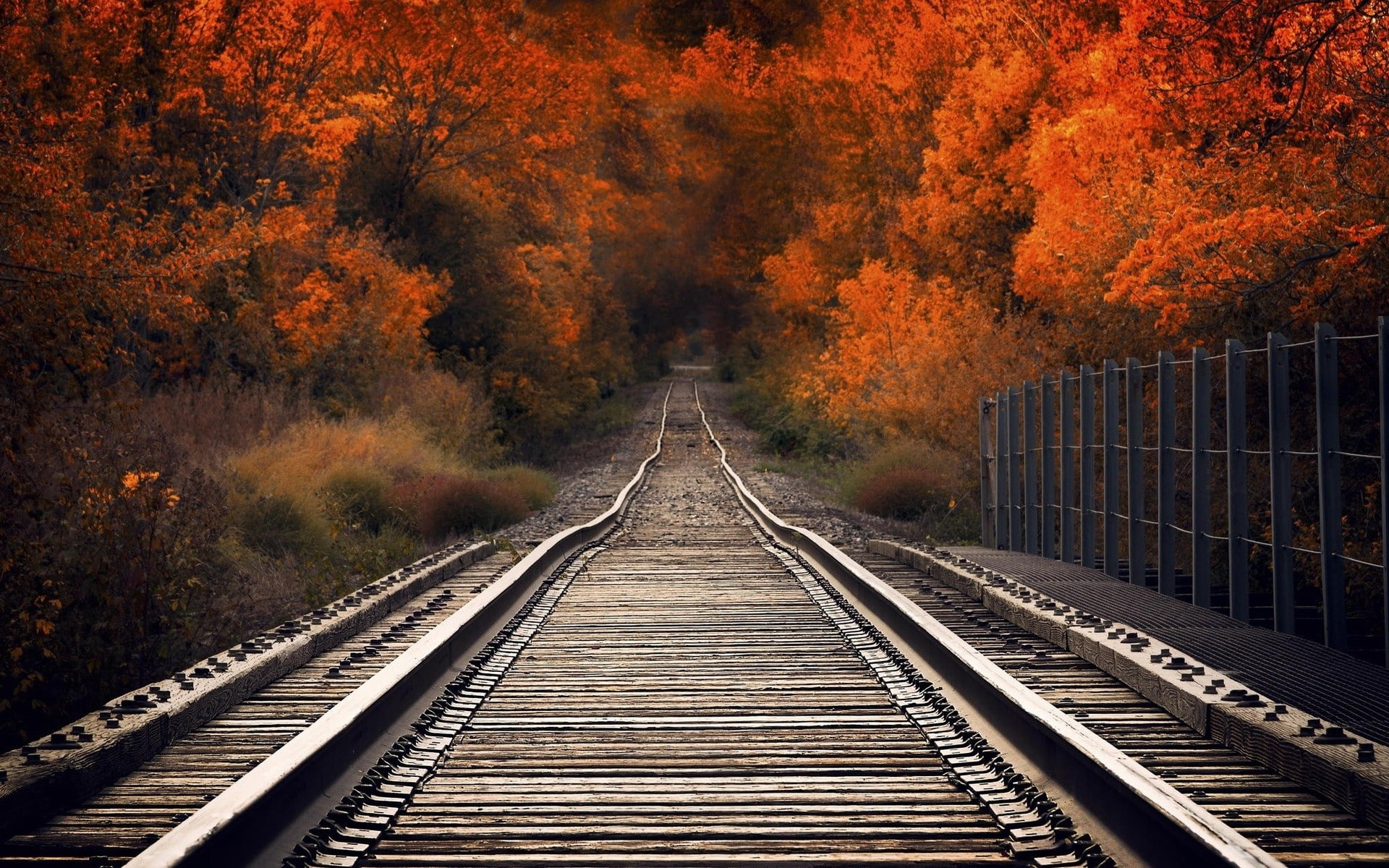 nature, railway