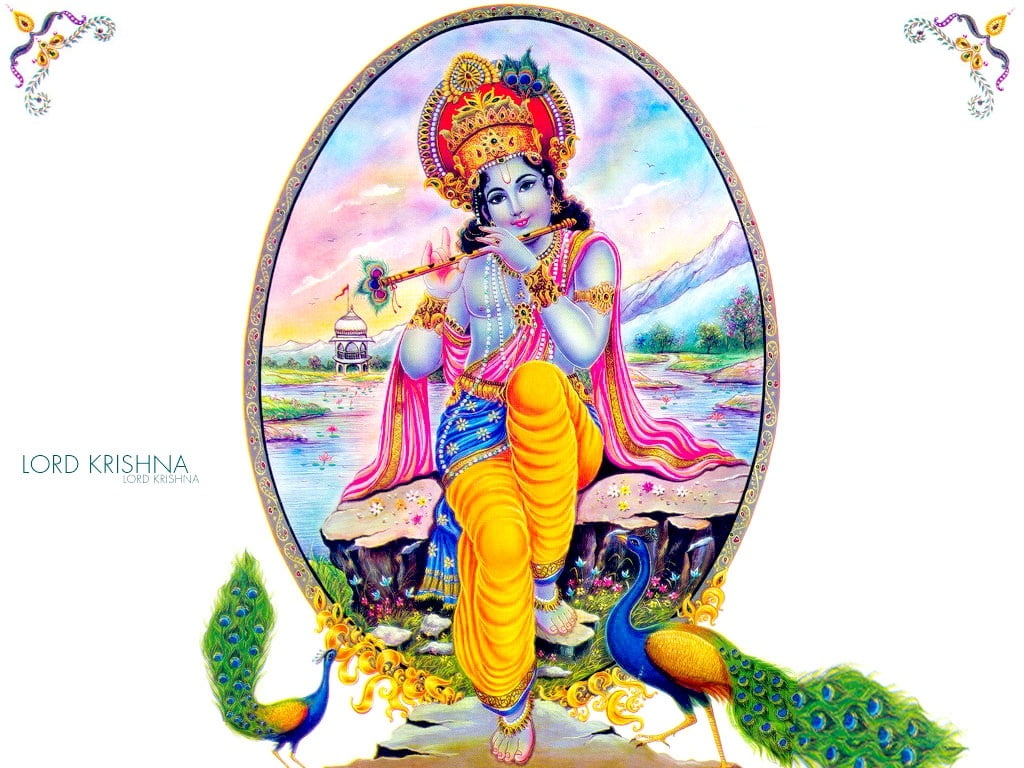 Lord Krishna And Peacock, Lord Krishna illustration, God, multi colored
