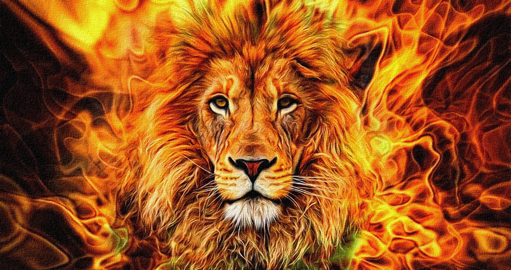 abstraction, rendering, flame, figure, portrait, mane, the king of beasts