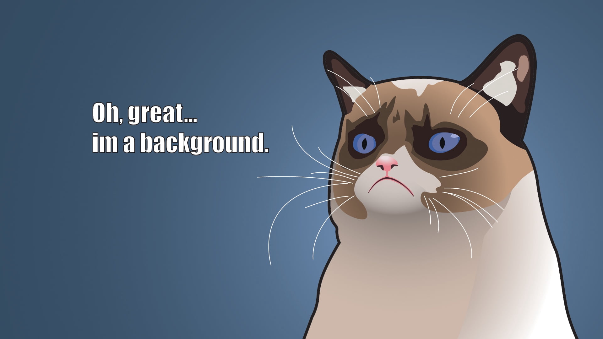 brown cat with oh, great im a background text, grumpy cat, tardar sauce