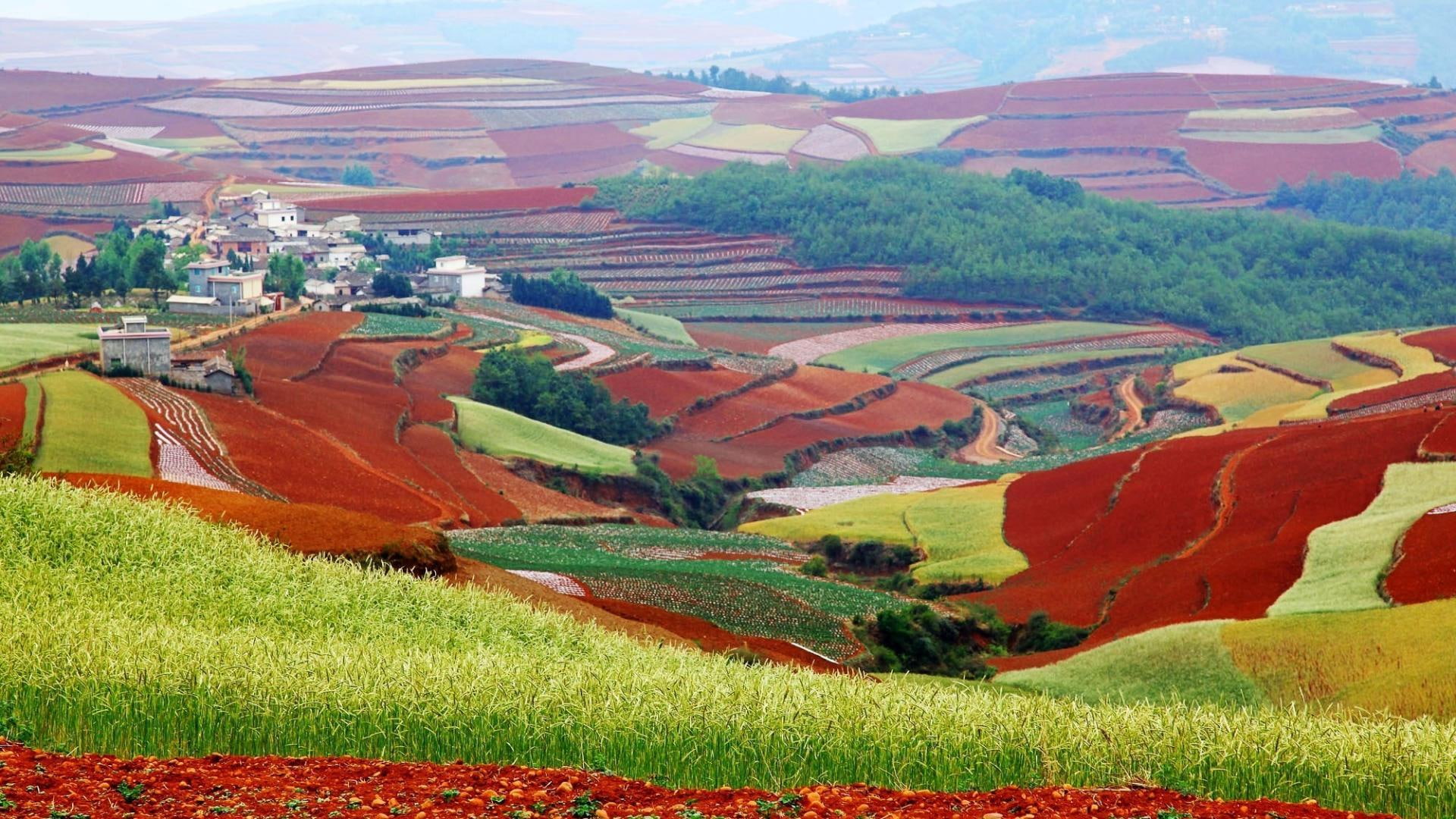 Colorful Fields In Yunnan China, village, hills, colors, nature and landscapes