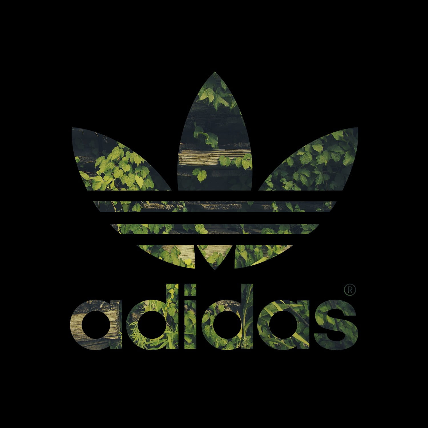 adidas logo, leaves, night, communication, no people, text, architecture