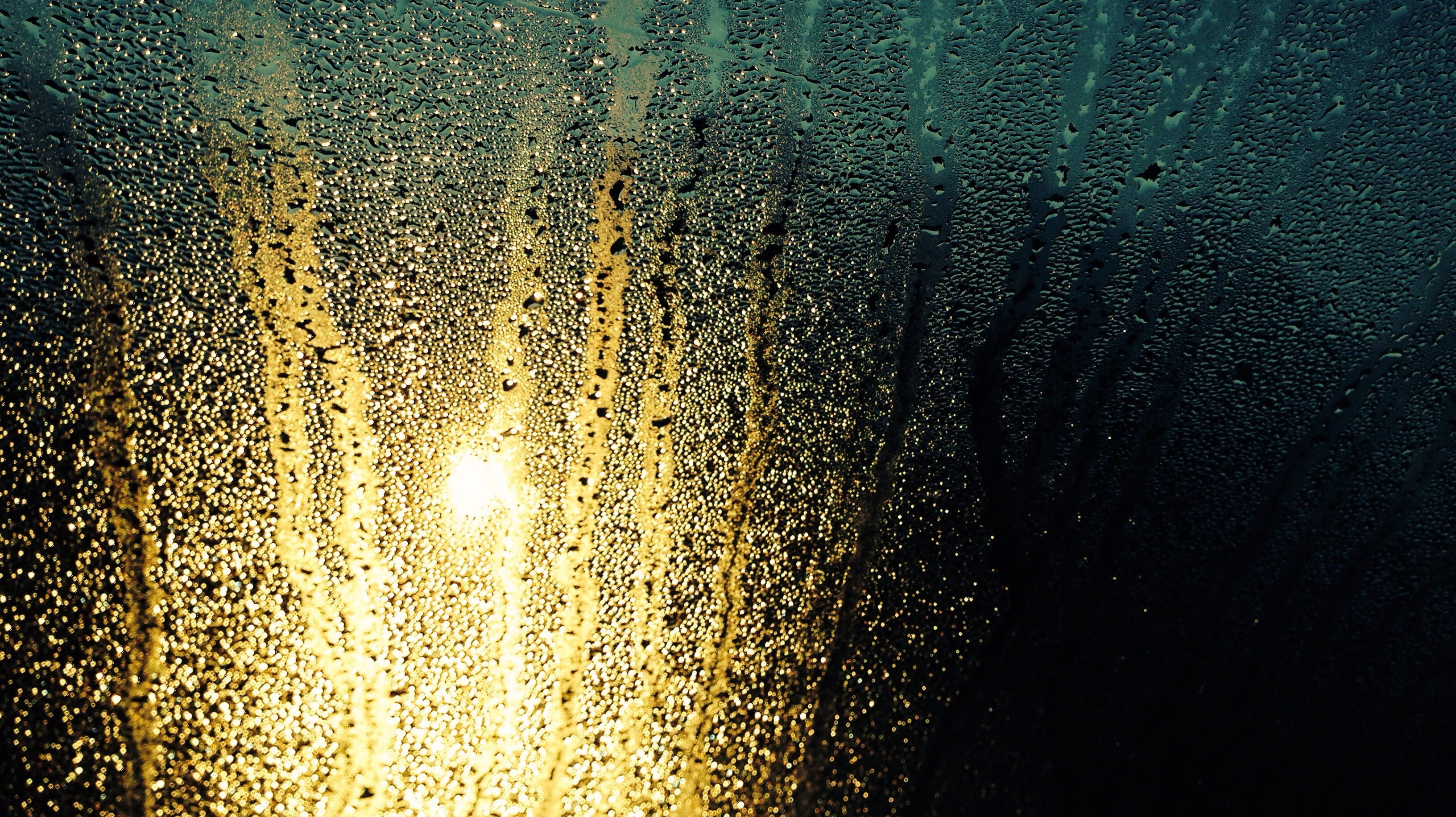 untitled, rain, water drops, water on glass, wet, glass - material