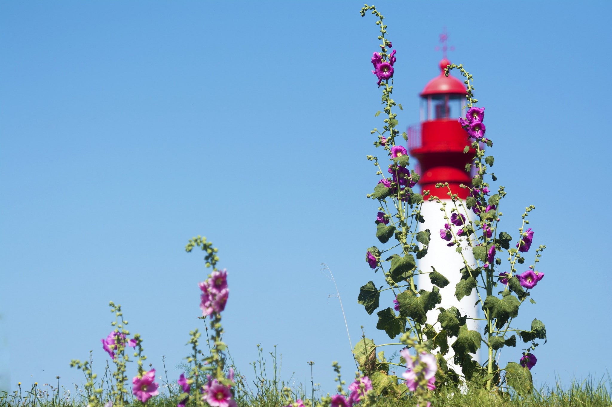 lighthouse