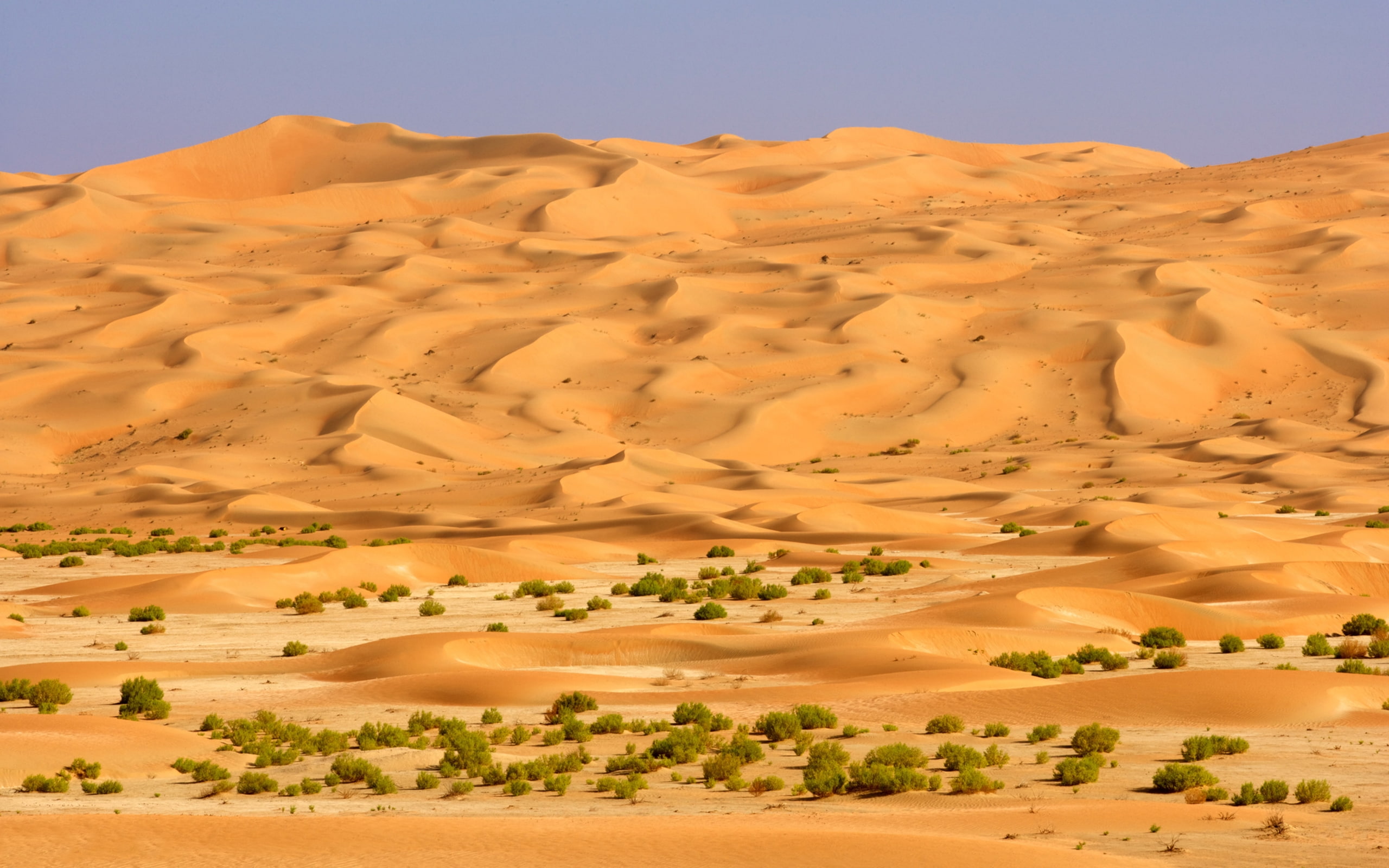 Saudi Arabia Desert, Hd Wallpaper 8640