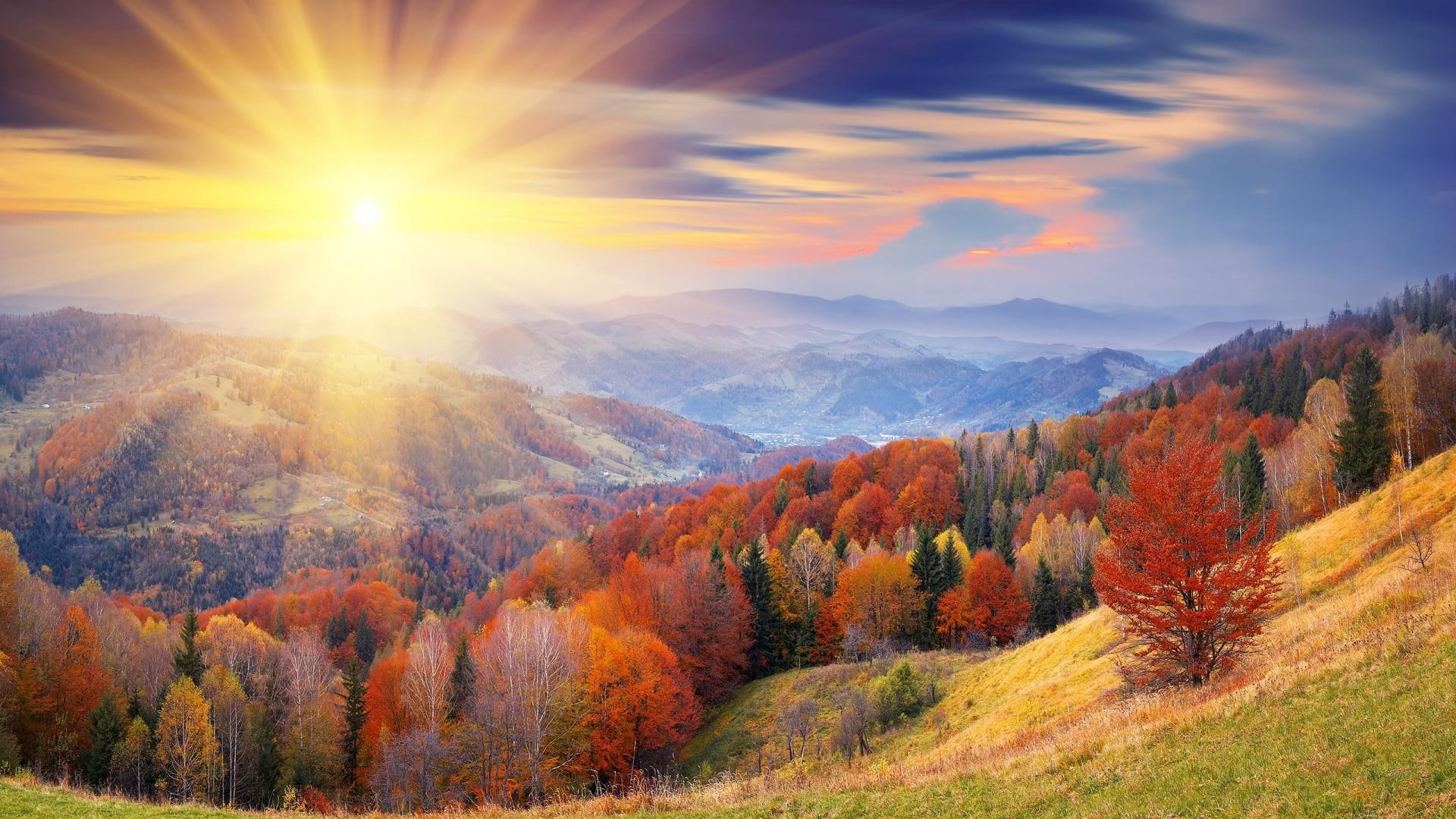 beautiful place.., scenics - nature, beauty in nature, autumn
