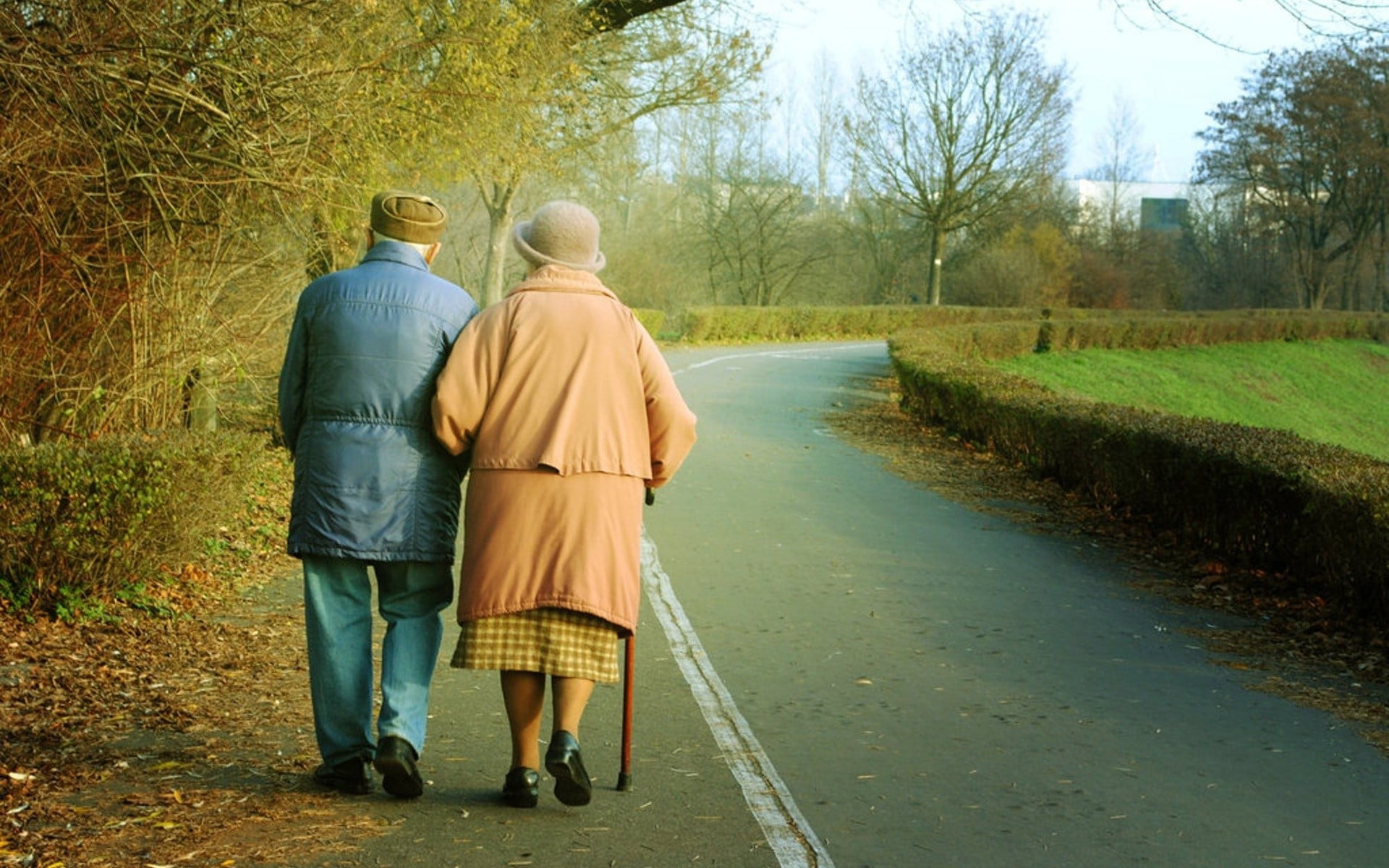 love, old people, rear view, tree, walking, full length, two people