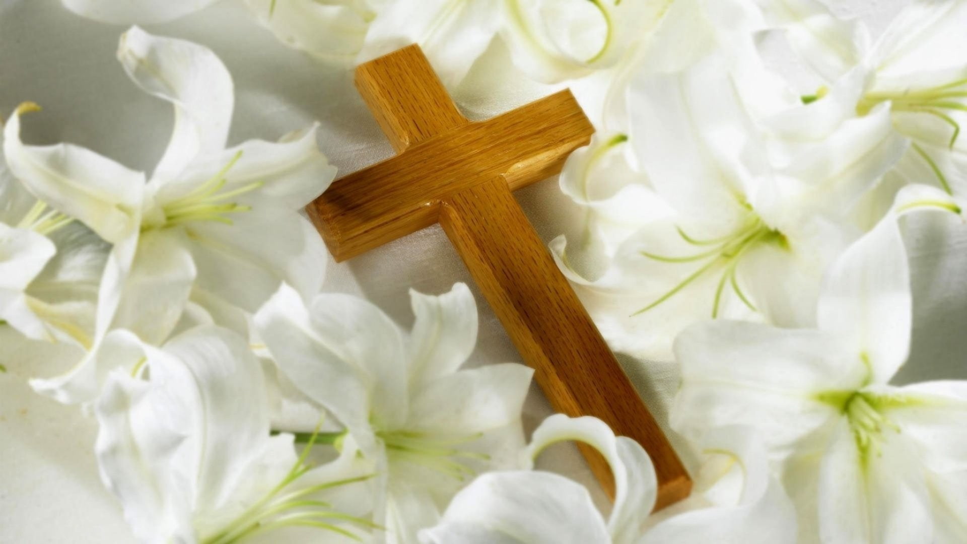 Religious, Cross, Christian, Christianity, Flower, Lily, White Flower
