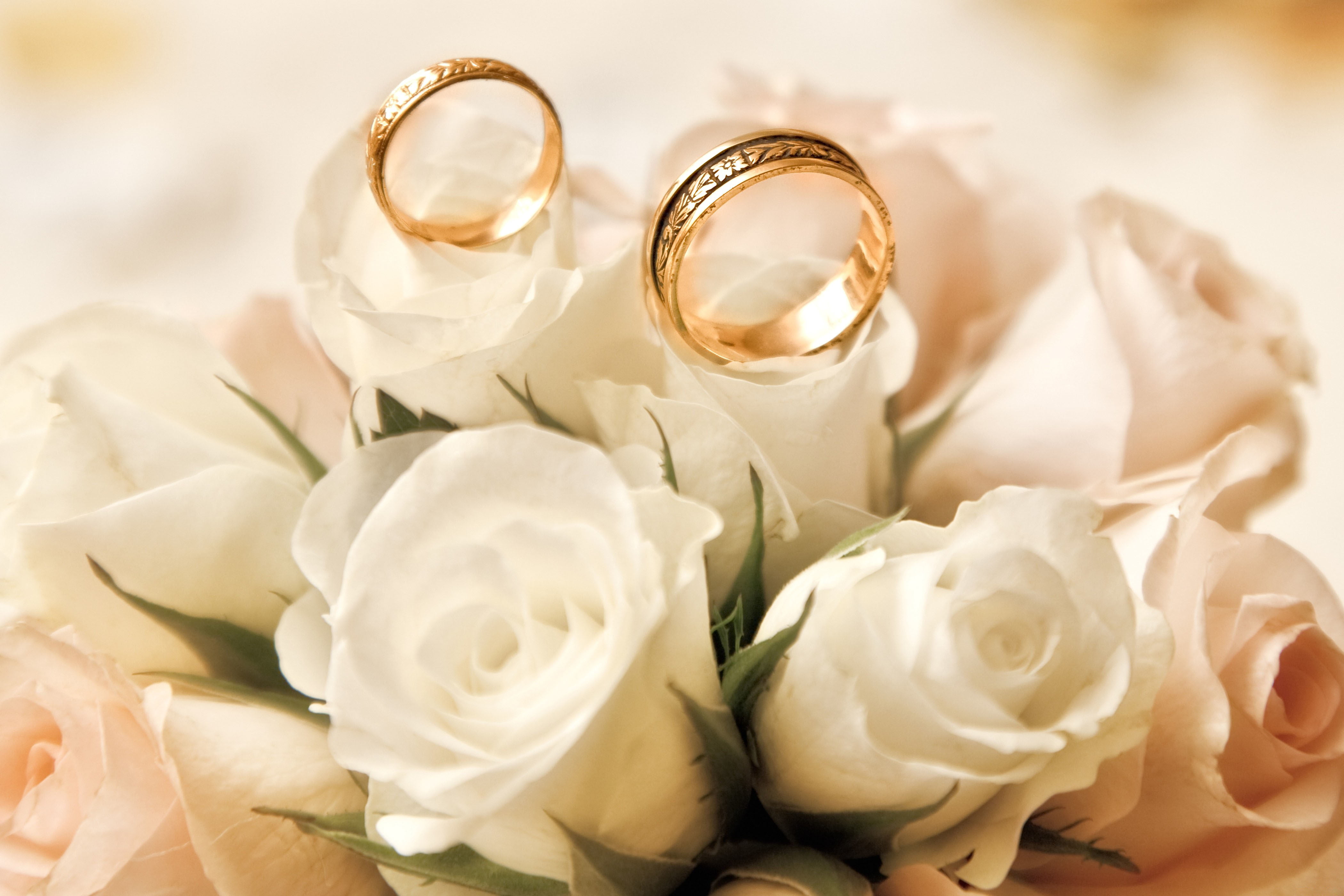 gold-colored couple rings, roses, white, buds, engagement rings