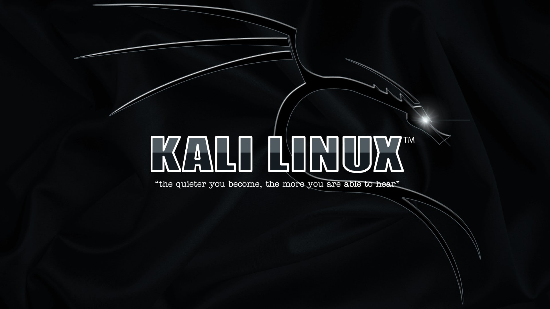 kali linux, text, studio shot, western script, black background