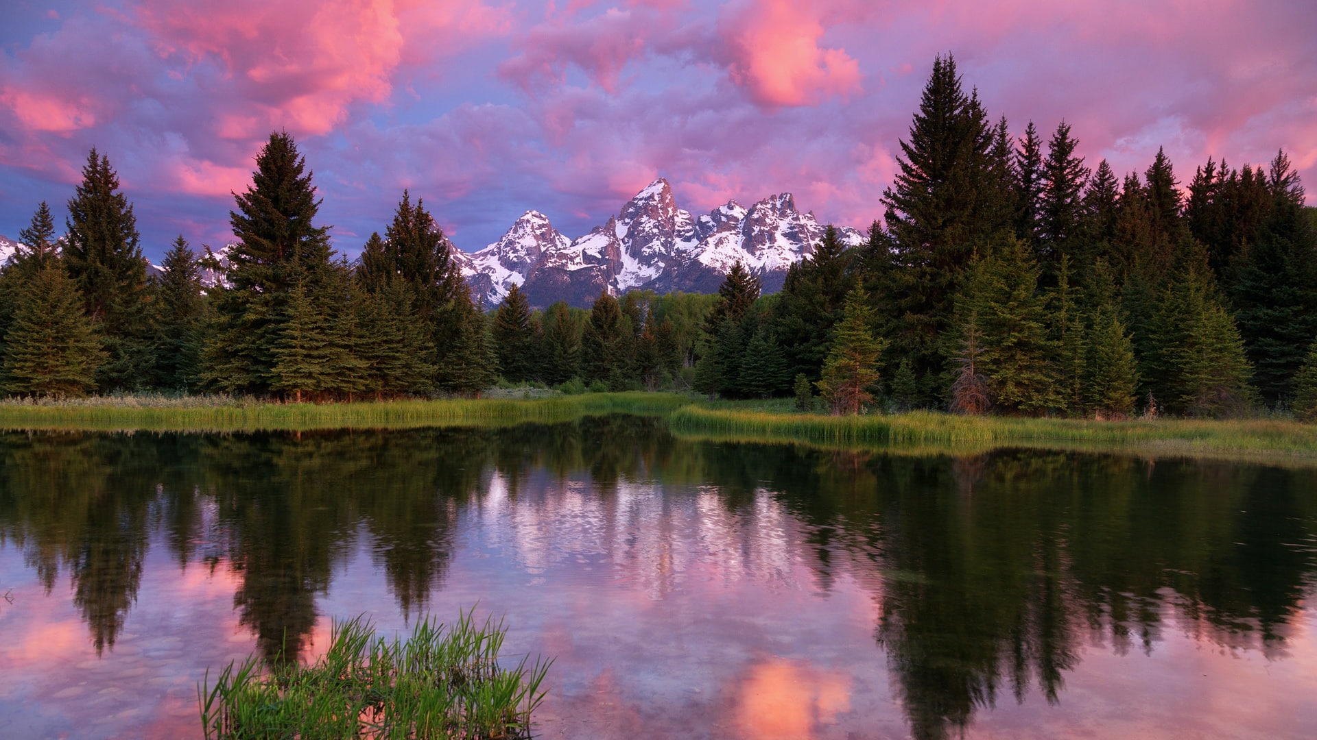 Grand Teton National Park, mountains, lake, trees, forest, water reflection