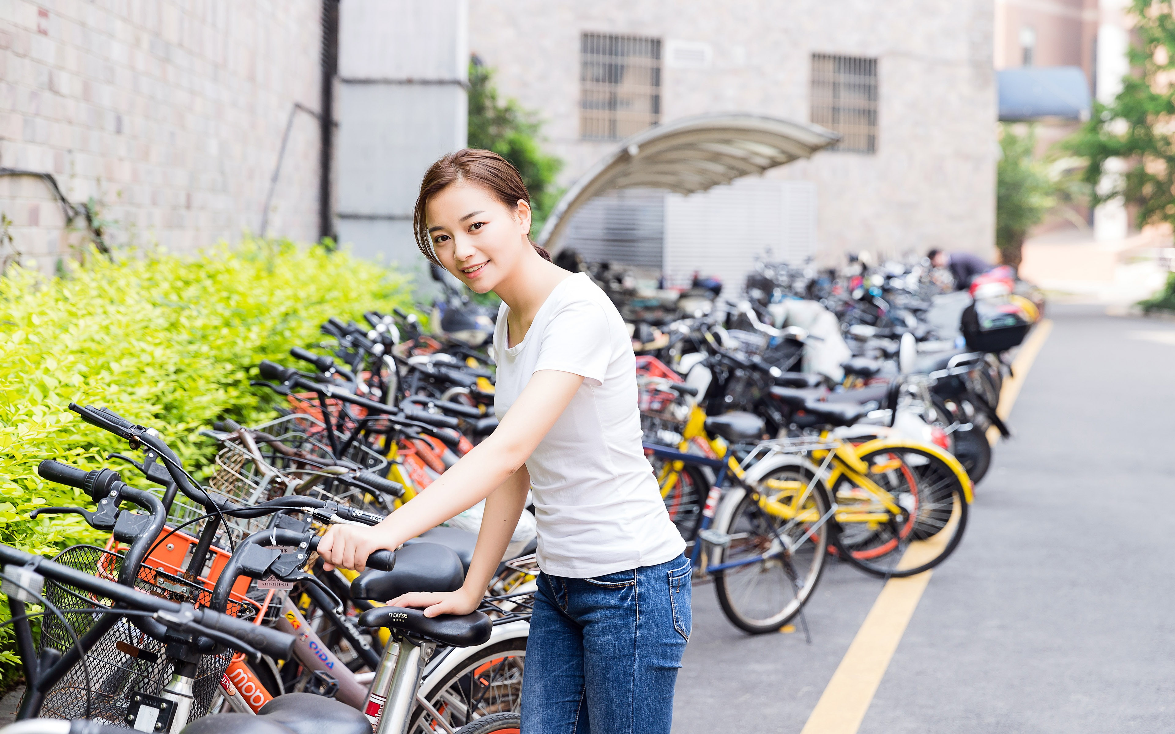 China college campus sharing bicycle girls, transportation, mode of transportation
