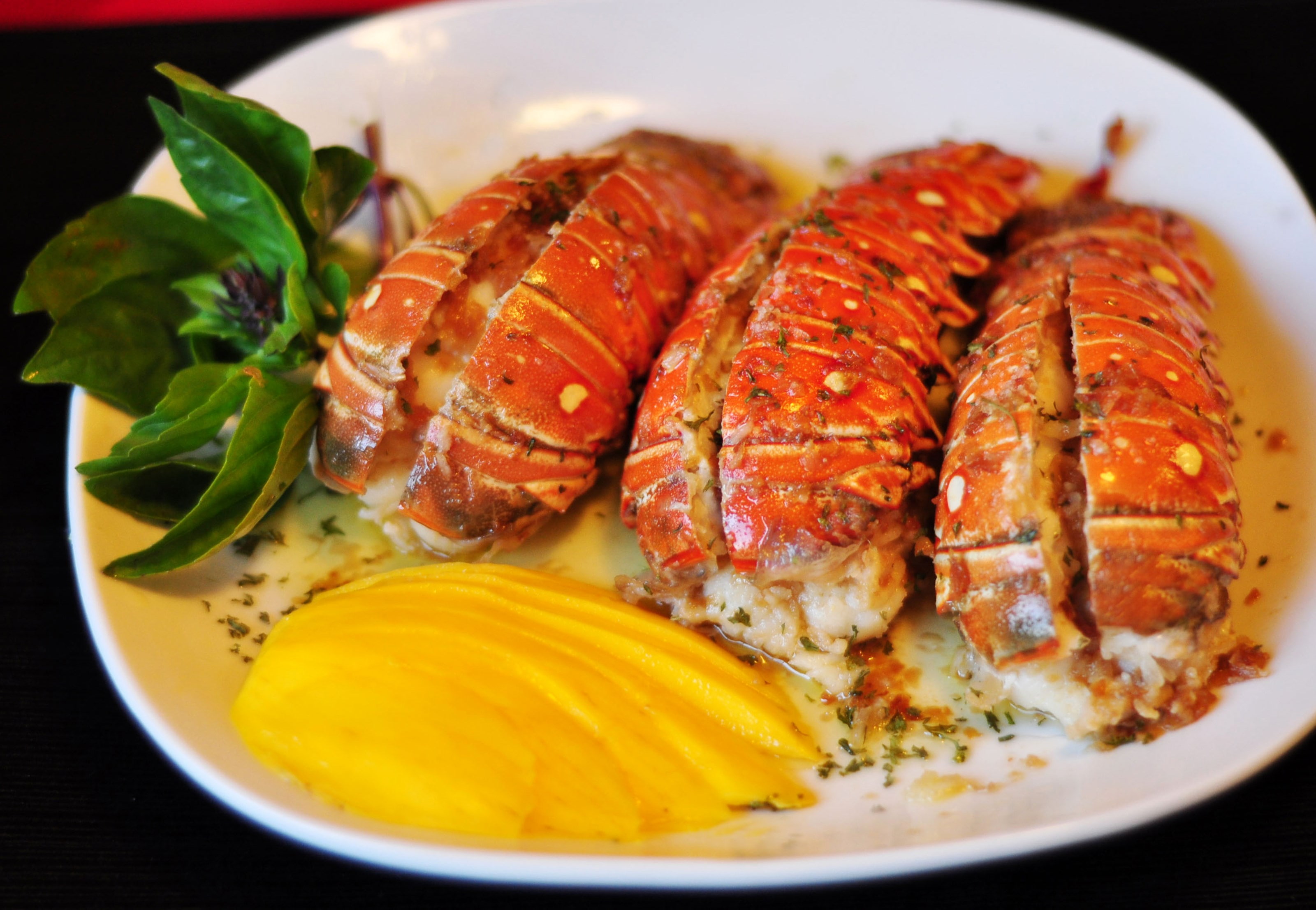 lobster, food and drink, ready-to-eat, freshness, healthy eating