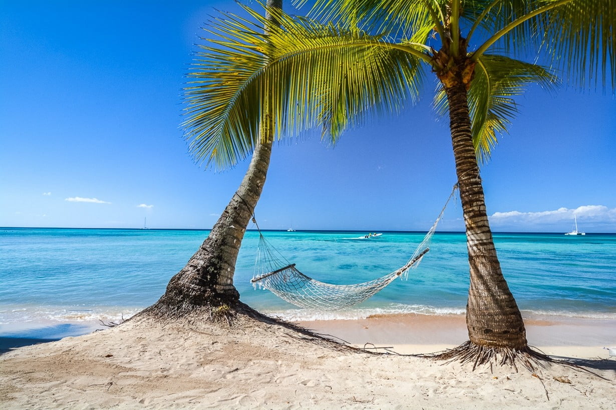 gray hammock between two gray coconut trees, photography, landscape