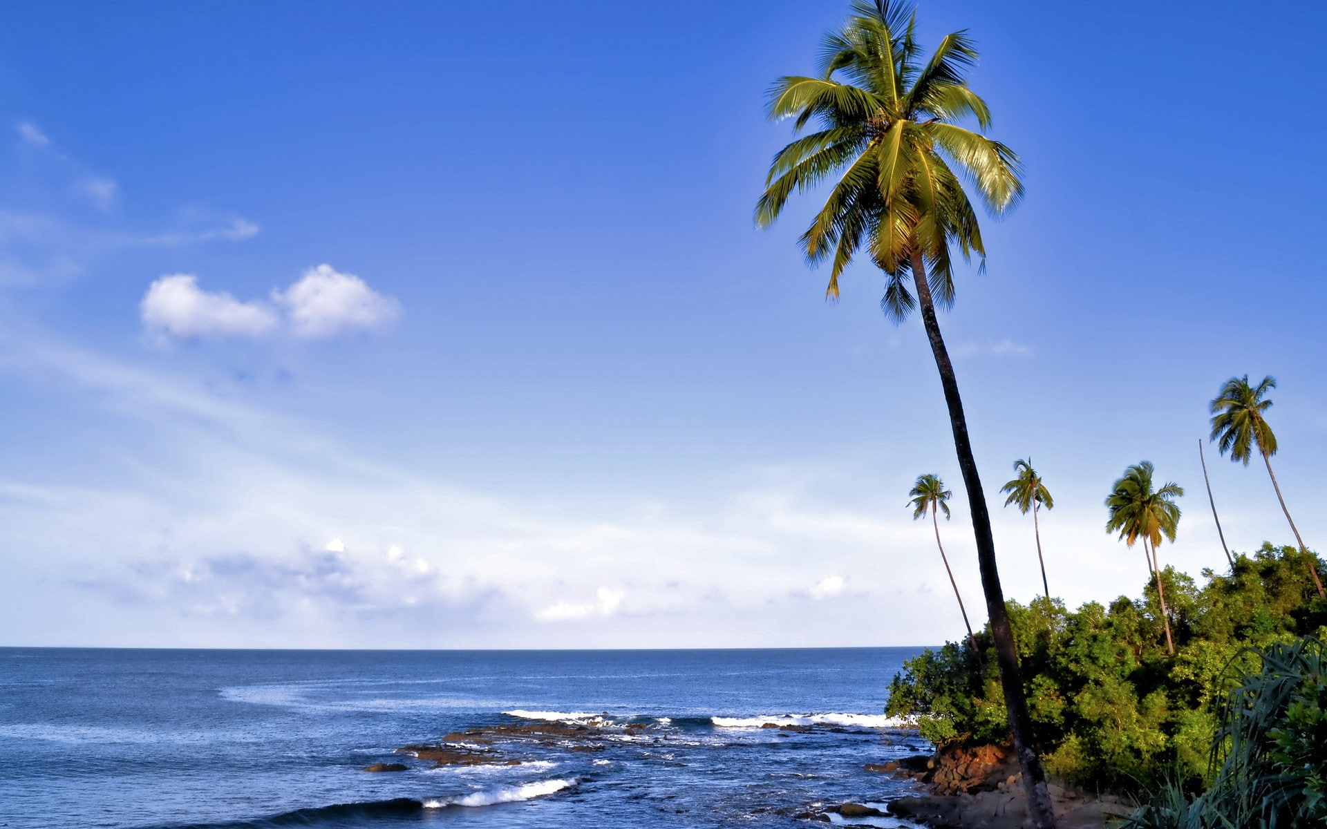 nature, landscape, palm trees, island, coast