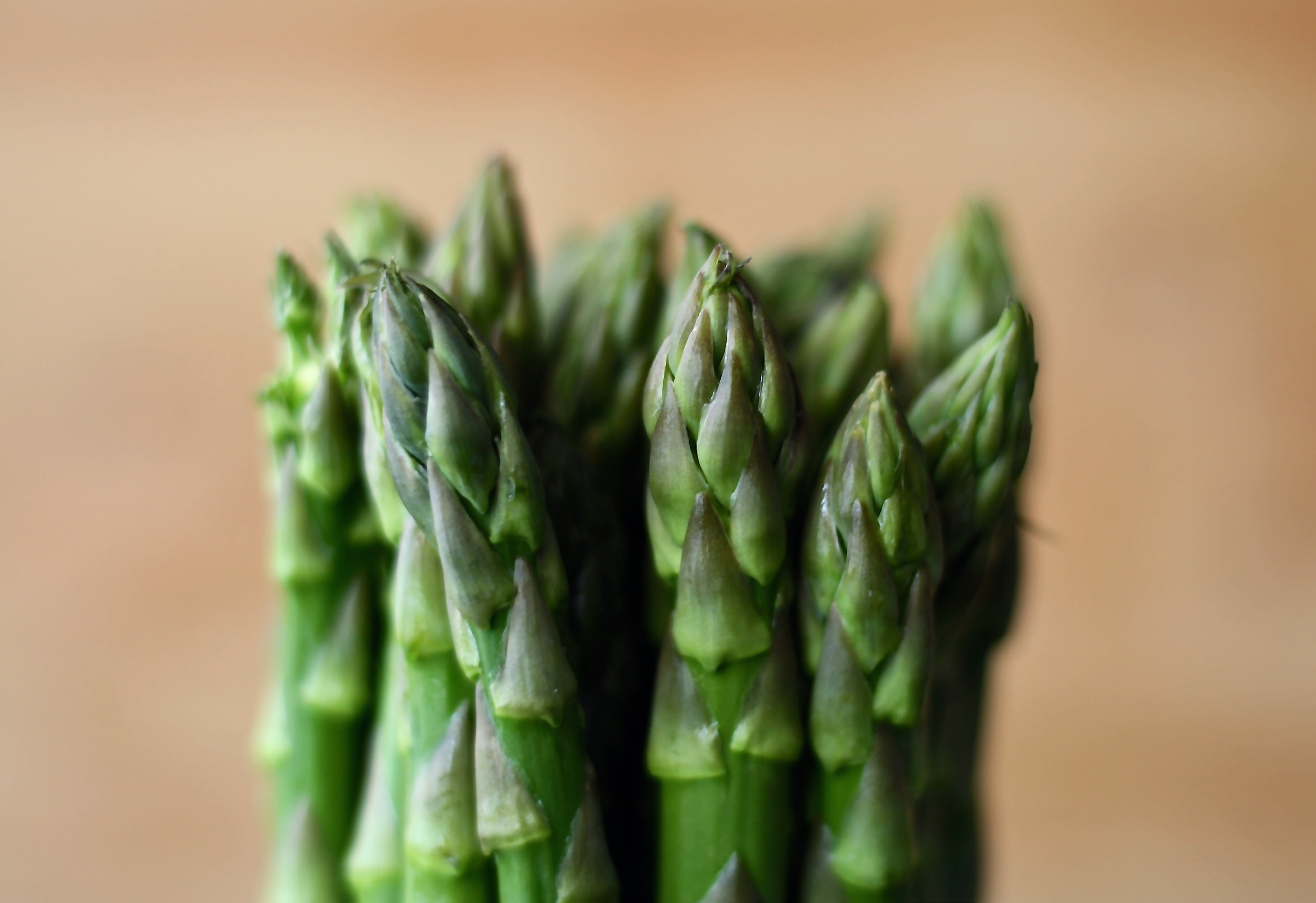 asparagus, vegetables, blur, food, freshness, nature, healthy Eating
