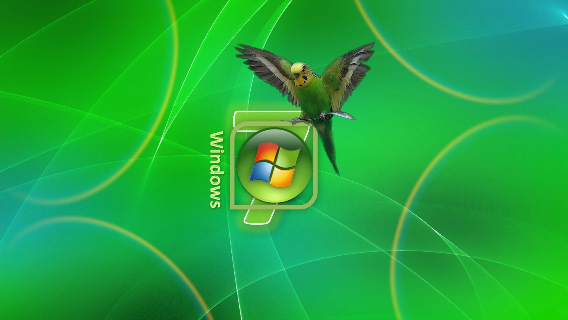 background, computer, microsoft, windows