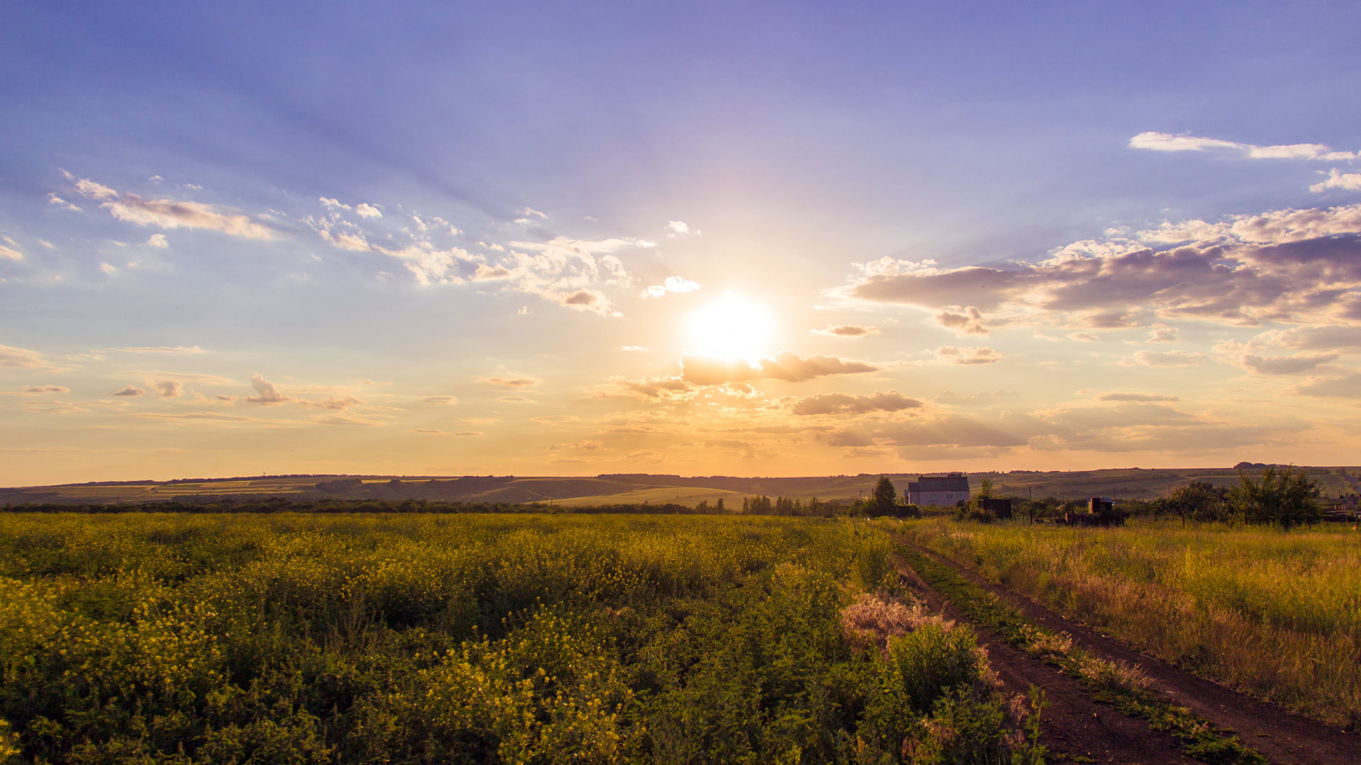 landscape, summer, Ukraine, field, sky, golden hour