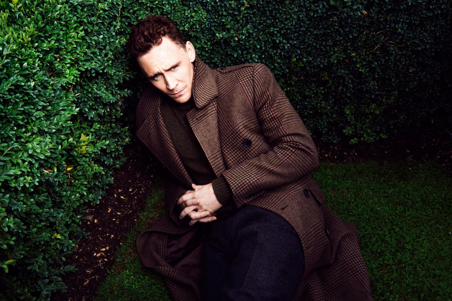 Tom Hiddleton, tom hiddleston, man, actor, grass, men, people