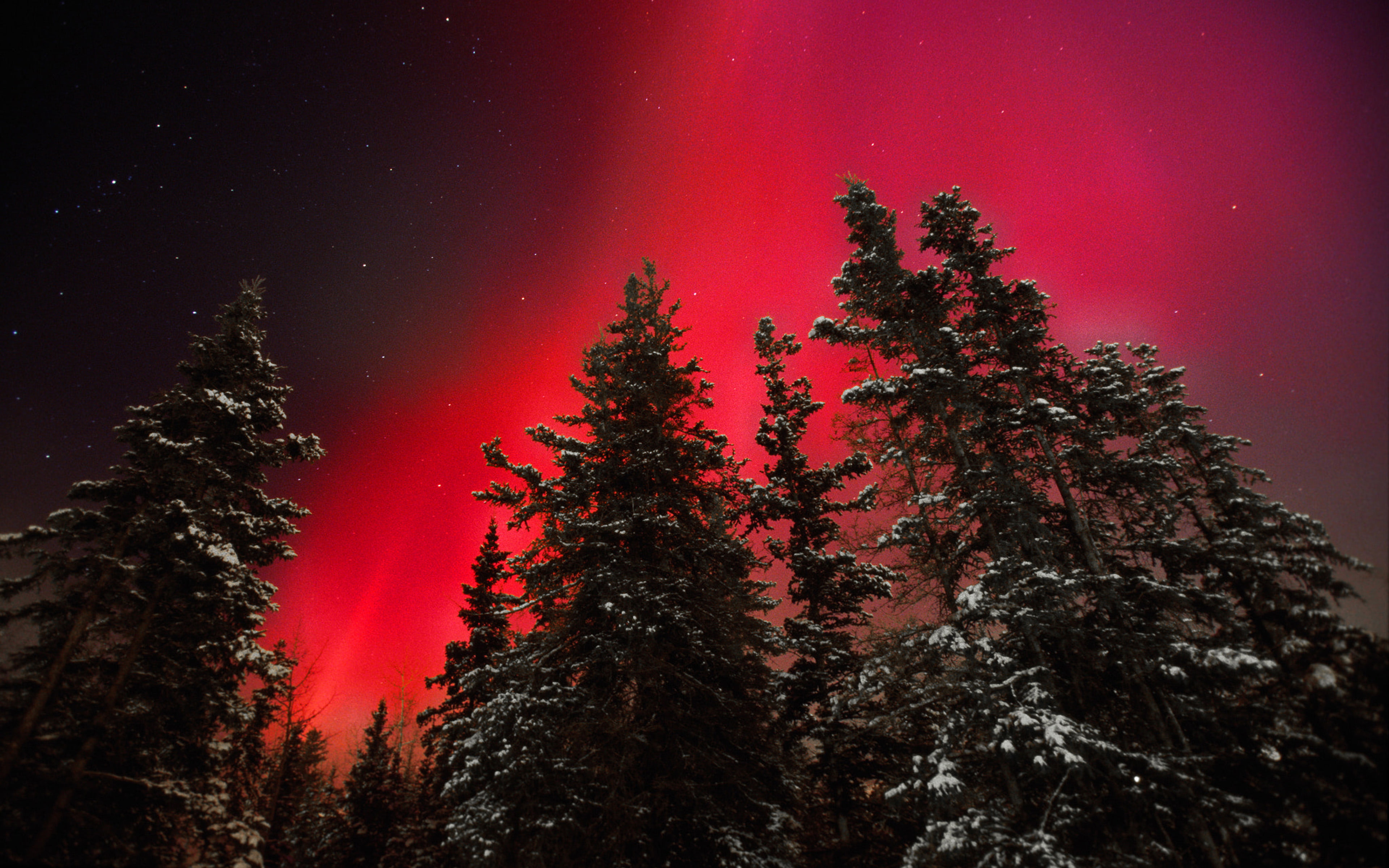 Fiery Sky Red Aurora Special Night Rare Occurrence In Yukon Canadian Territory 4k Ultra Hd Desktop Wallpapers For Computers Laptop Tablet And Mobile Phones