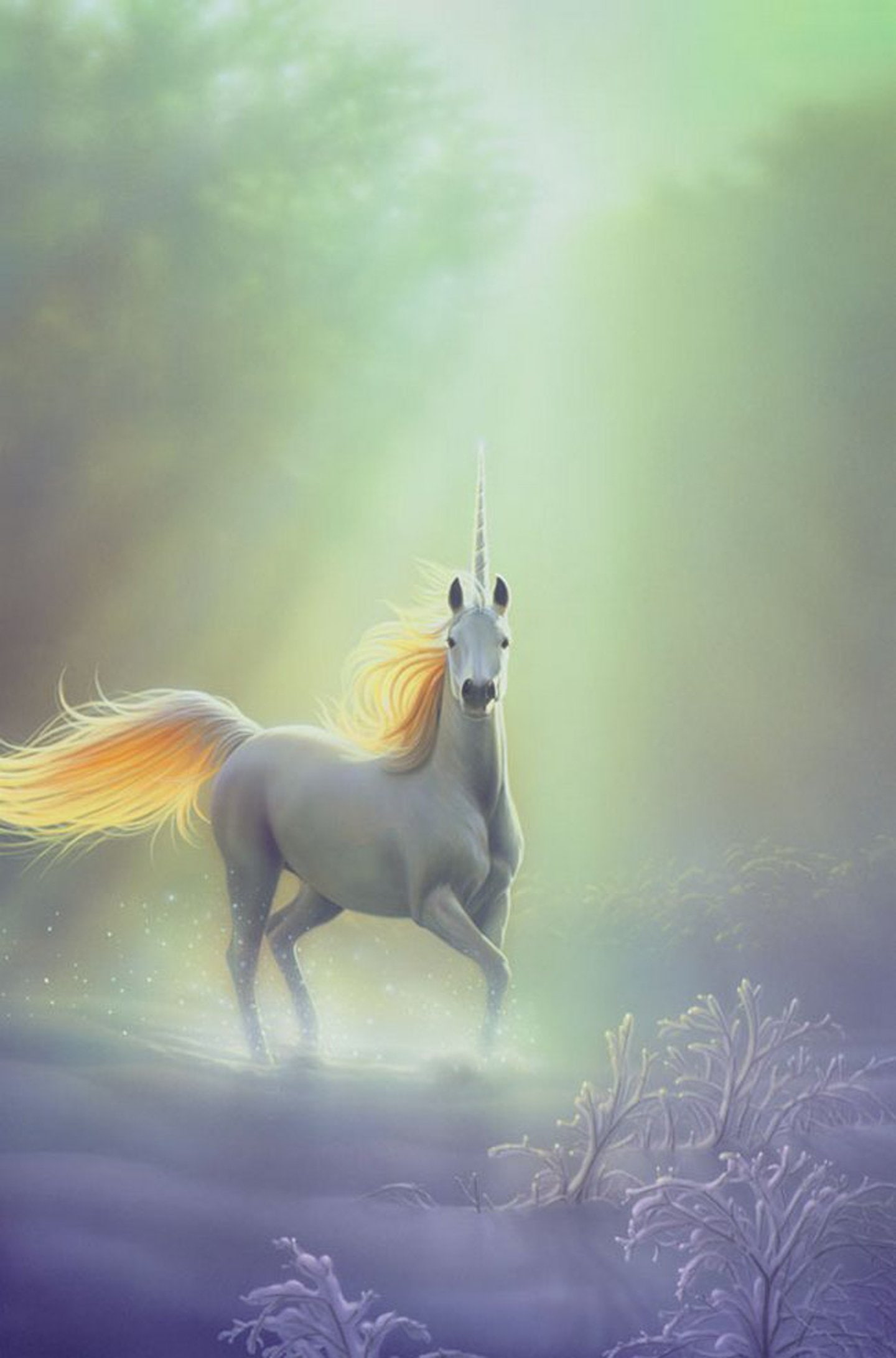 fantasy, horse, pegasus, unicorn