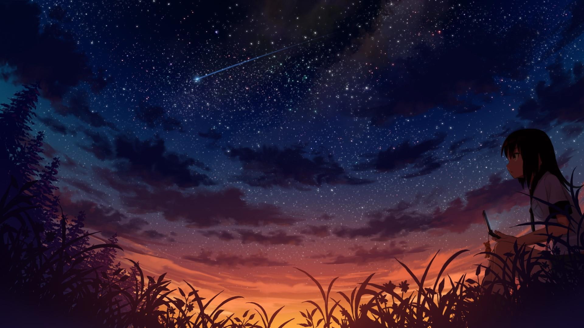 girl, starry sky, setting sun, pixiv, anime