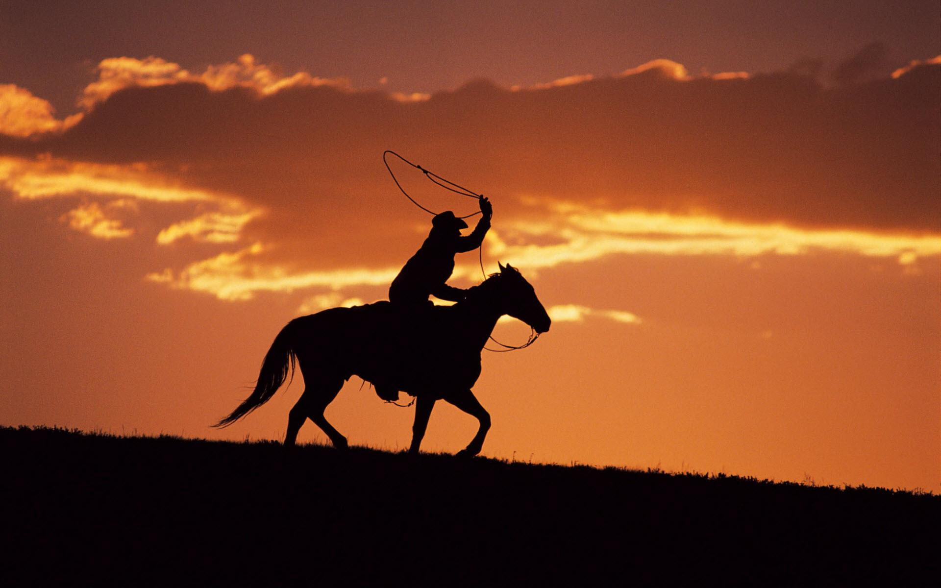 Western Cowboy at Sunset, silhouette of cowboy riding horse, others