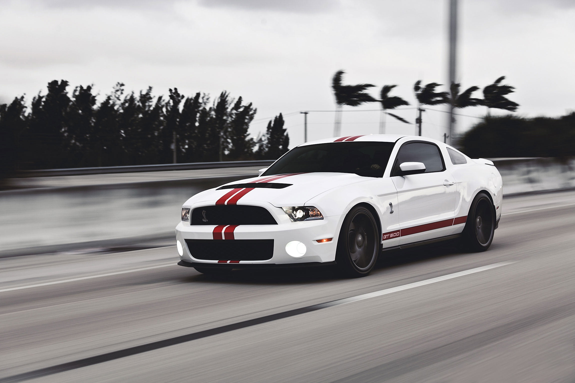 5th gen. white and red Ford Mustang coupe, road, speed, Shelby