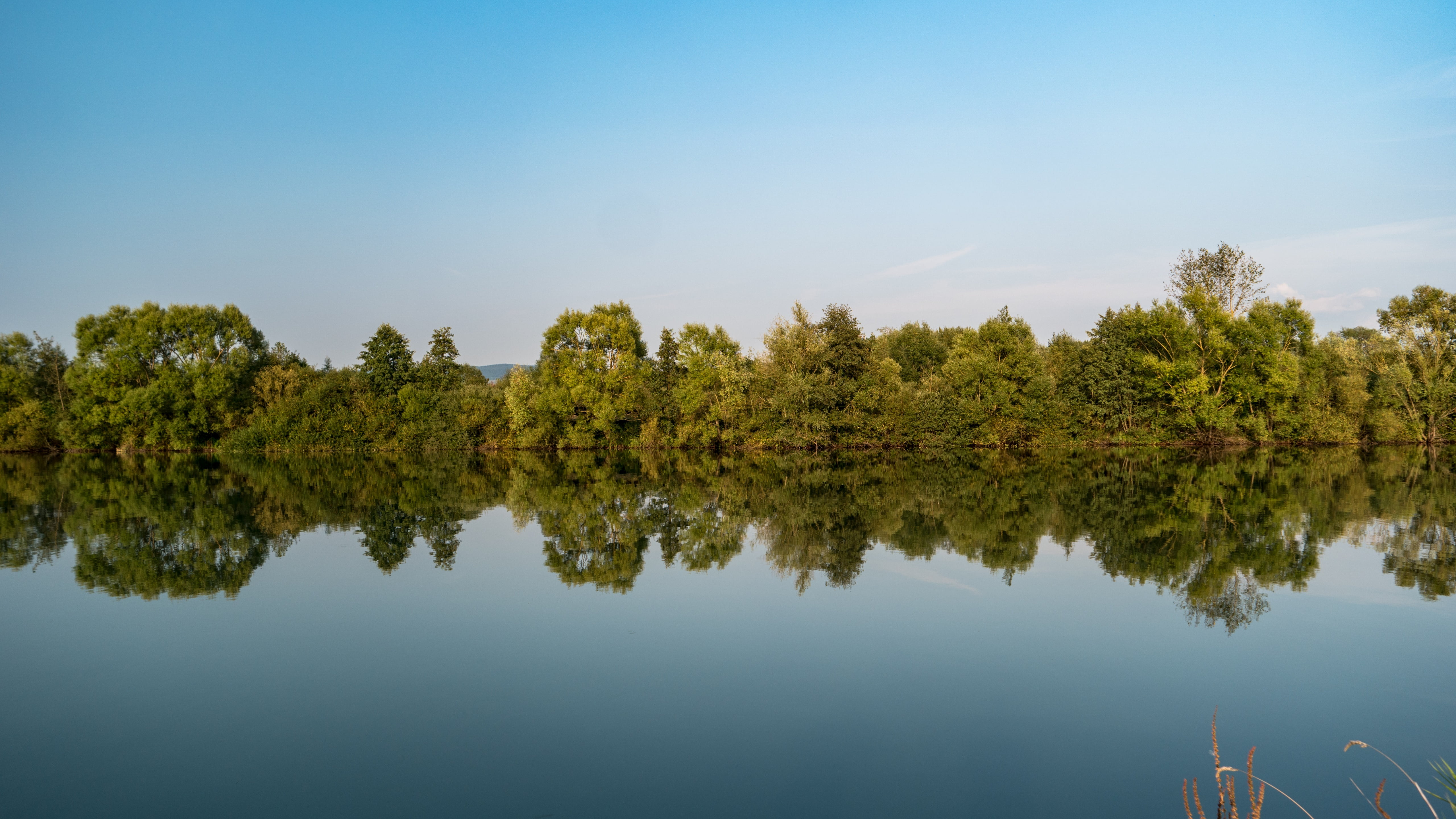 reflection, water, 5k uhd, sky, waterway, bayou, blue sky, tree