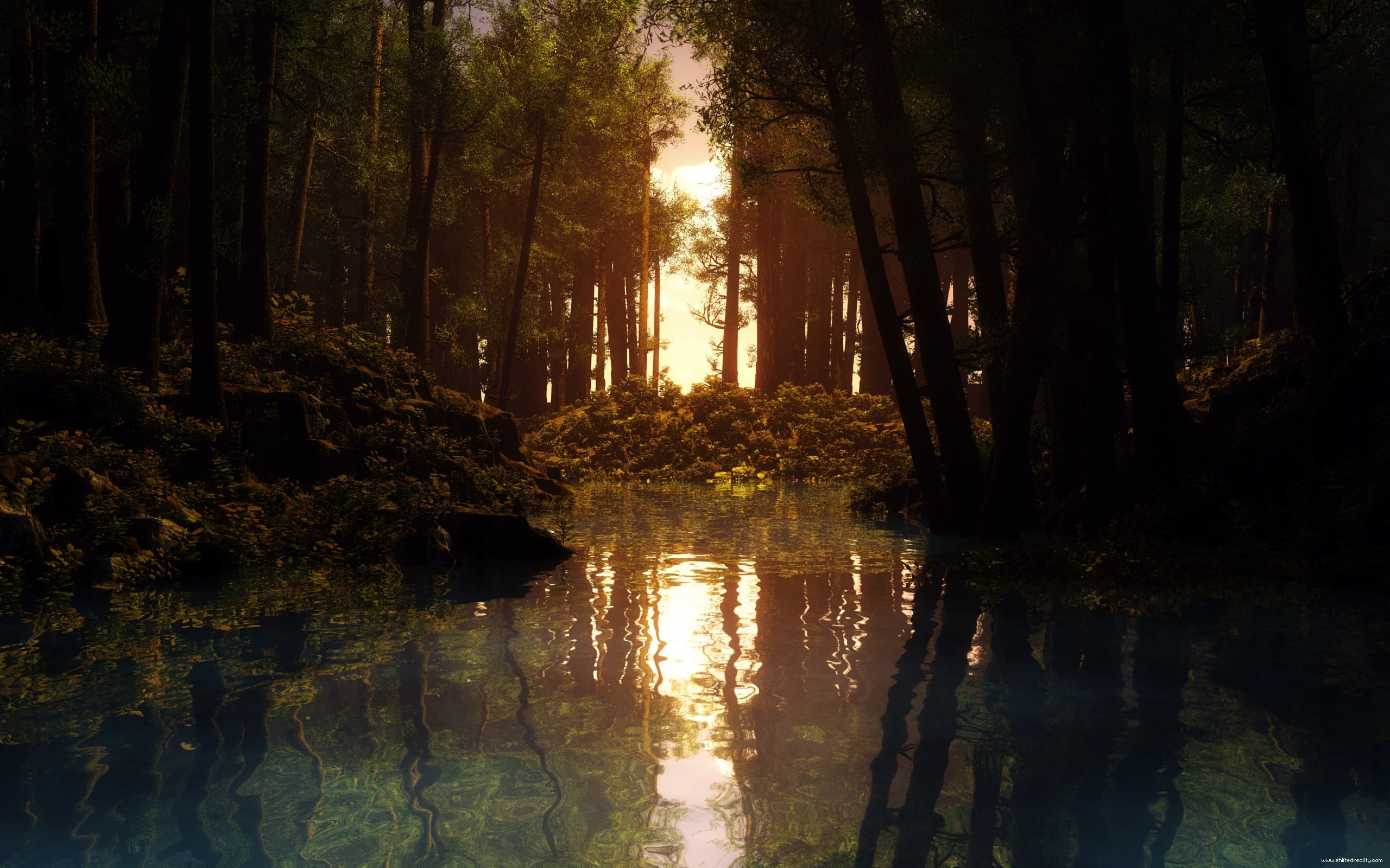 water, reflection, lake, forest, sunset, trees, nature