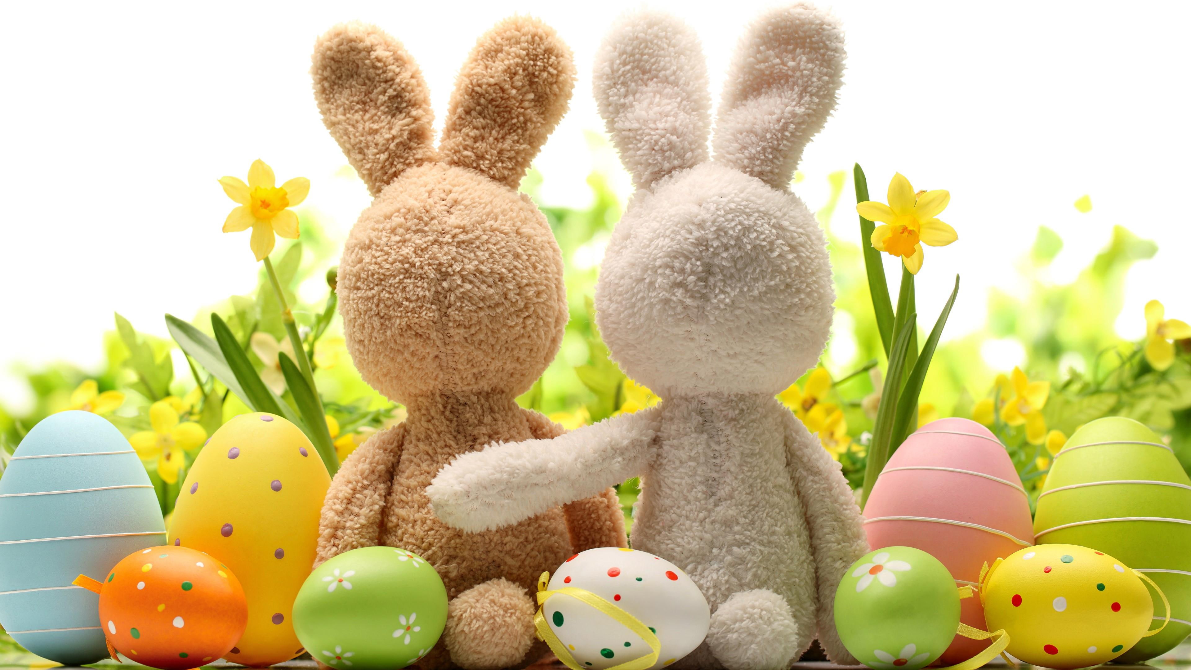 easter, rabbits, decoration, easter eggs, couple