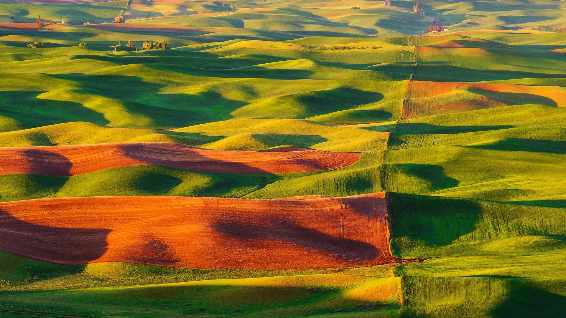 Steptoe Butte State Park, United States, valle, fields, beautiful scenery, green and brown sand field view