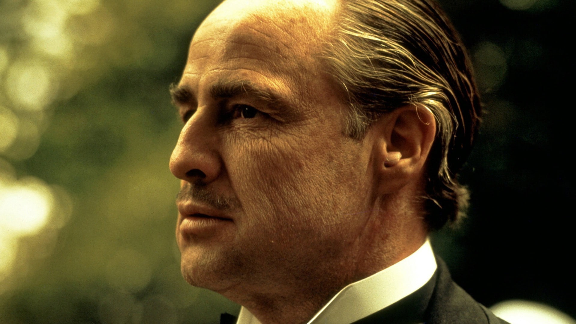 movies the godfather vito corleone, portrait, one person, headshot